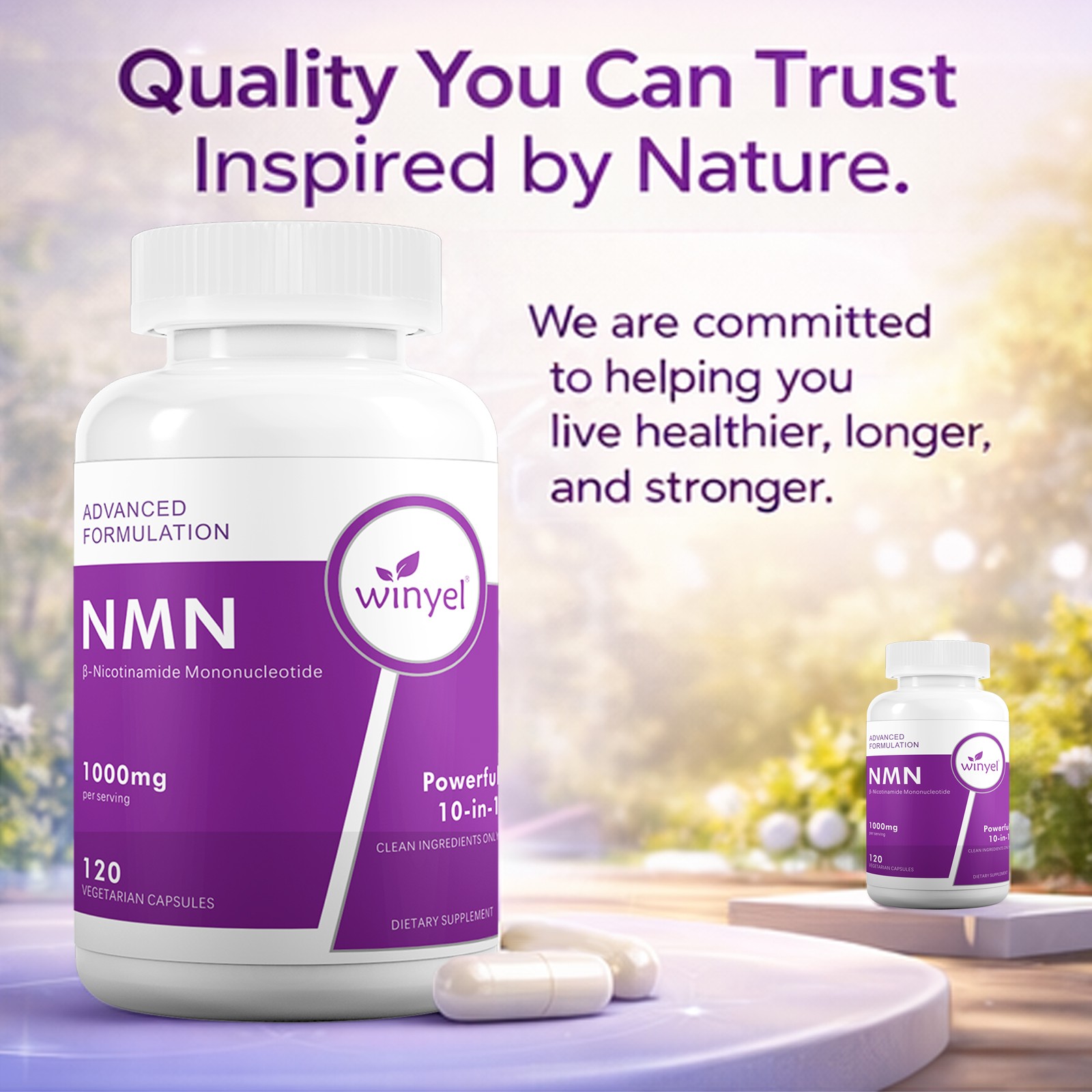WINYEL Resveratrol CoQ10 Quercetin Glutathione TMG 10-in-1 Complex Capsules
