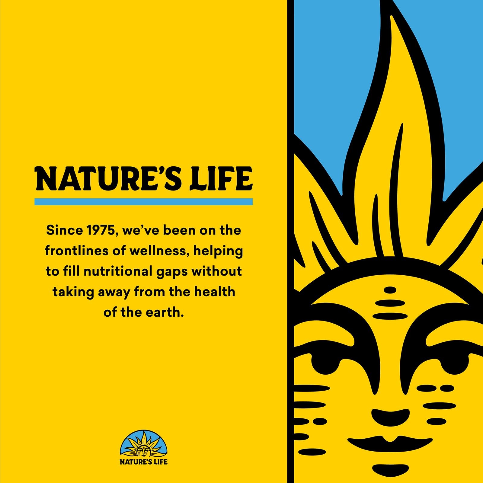 Nature’S Life Natures Life Liquid Calcium Magnesium Supplement Vitamin D 3 –