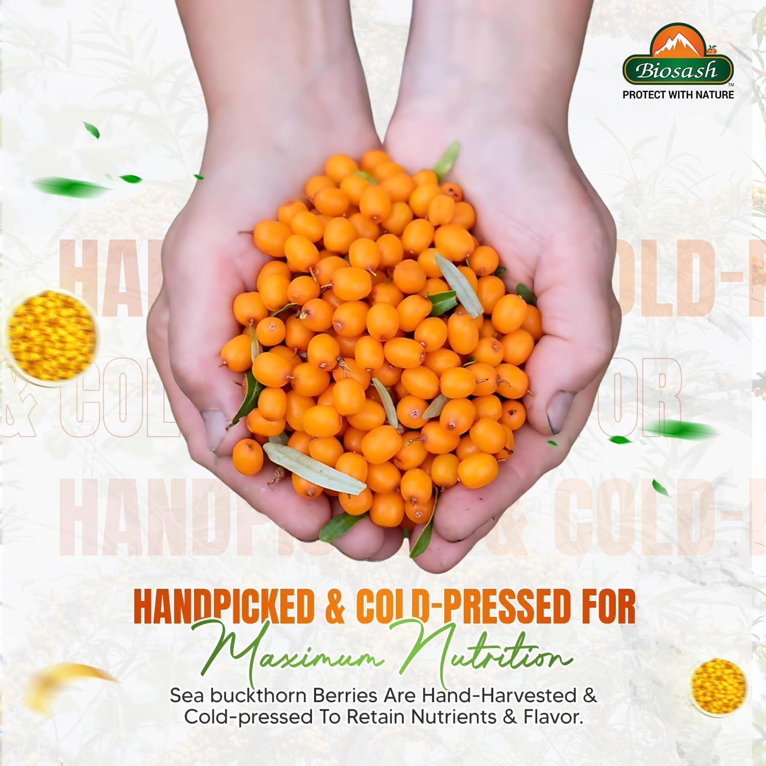 Biosash Sea Buckthorn Seed Oil 30 Capsules Omega 3 6 7 9 Herbal Supplement