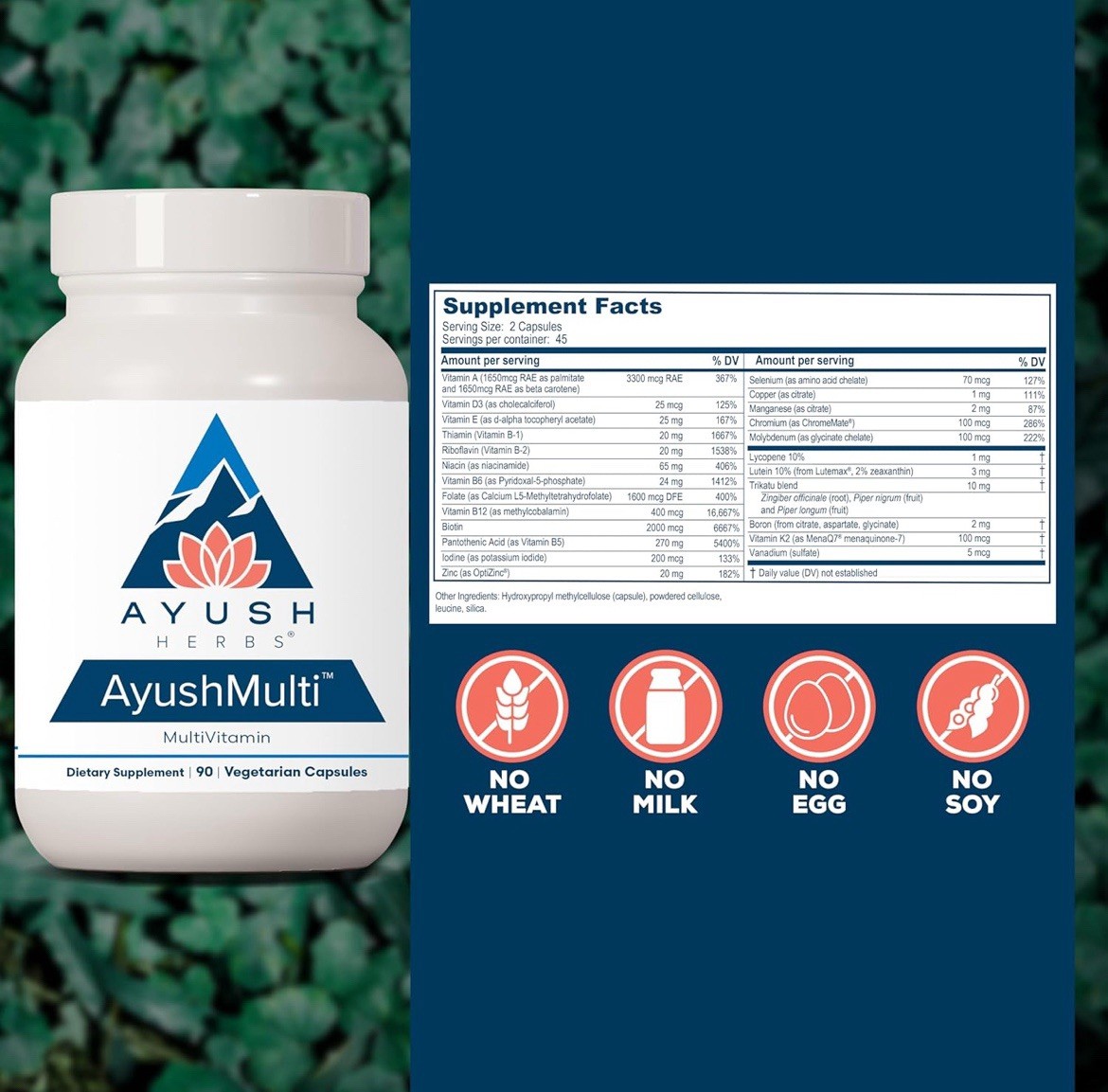 Ayush Herbs AyushMulti Multivitamin 90 Vegetarian Capsules Exp 05/2027