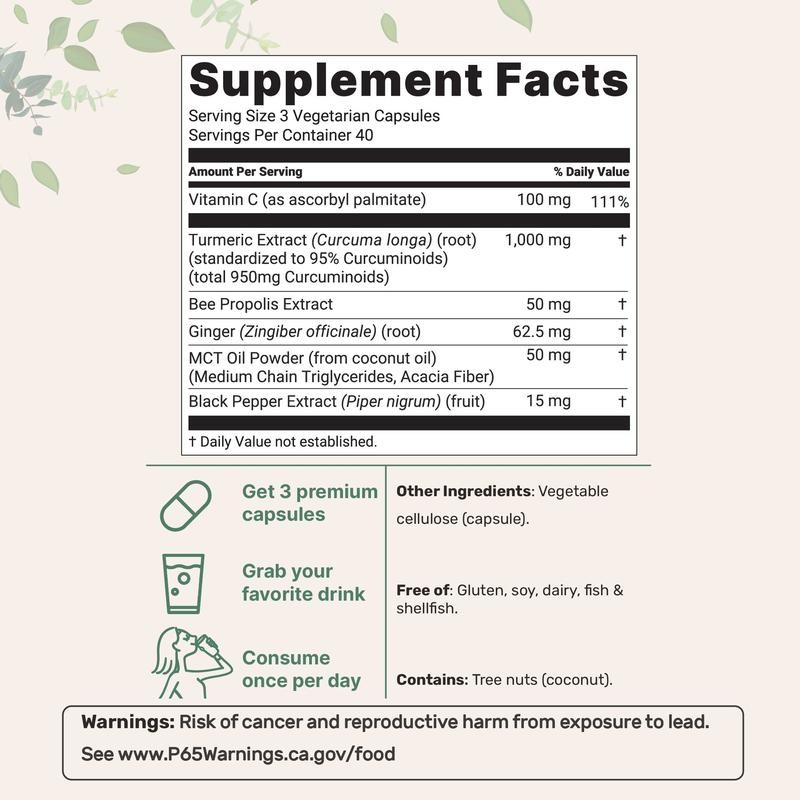 Micro Ingredients Turmeric Curcumin Filler, | No 1,000mg No GMO – 120 Vegan Caps