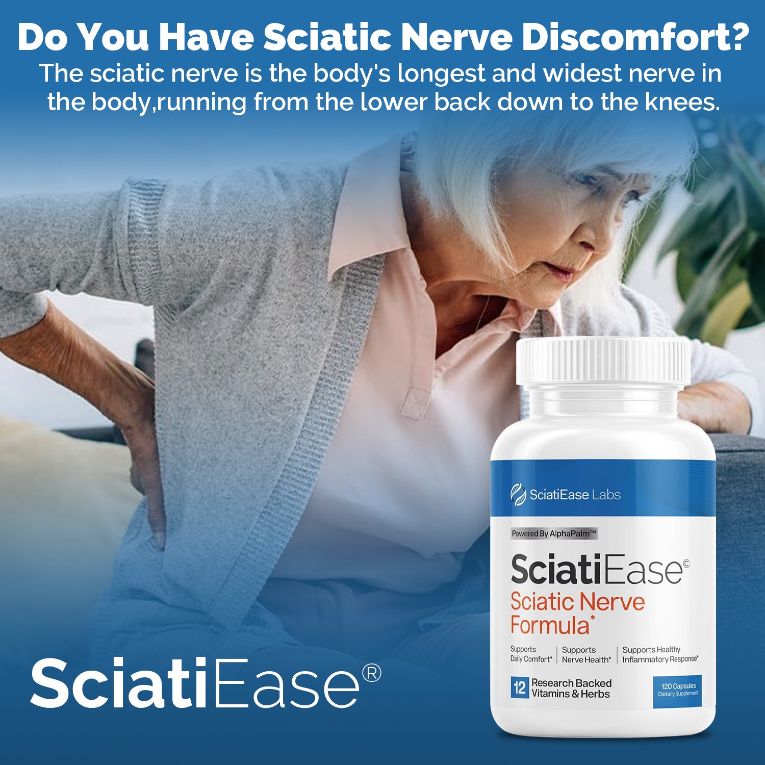 SciatiEase Labs Sciatic Nerve Formula- Build Muscle and Endurance, Improve Sleep