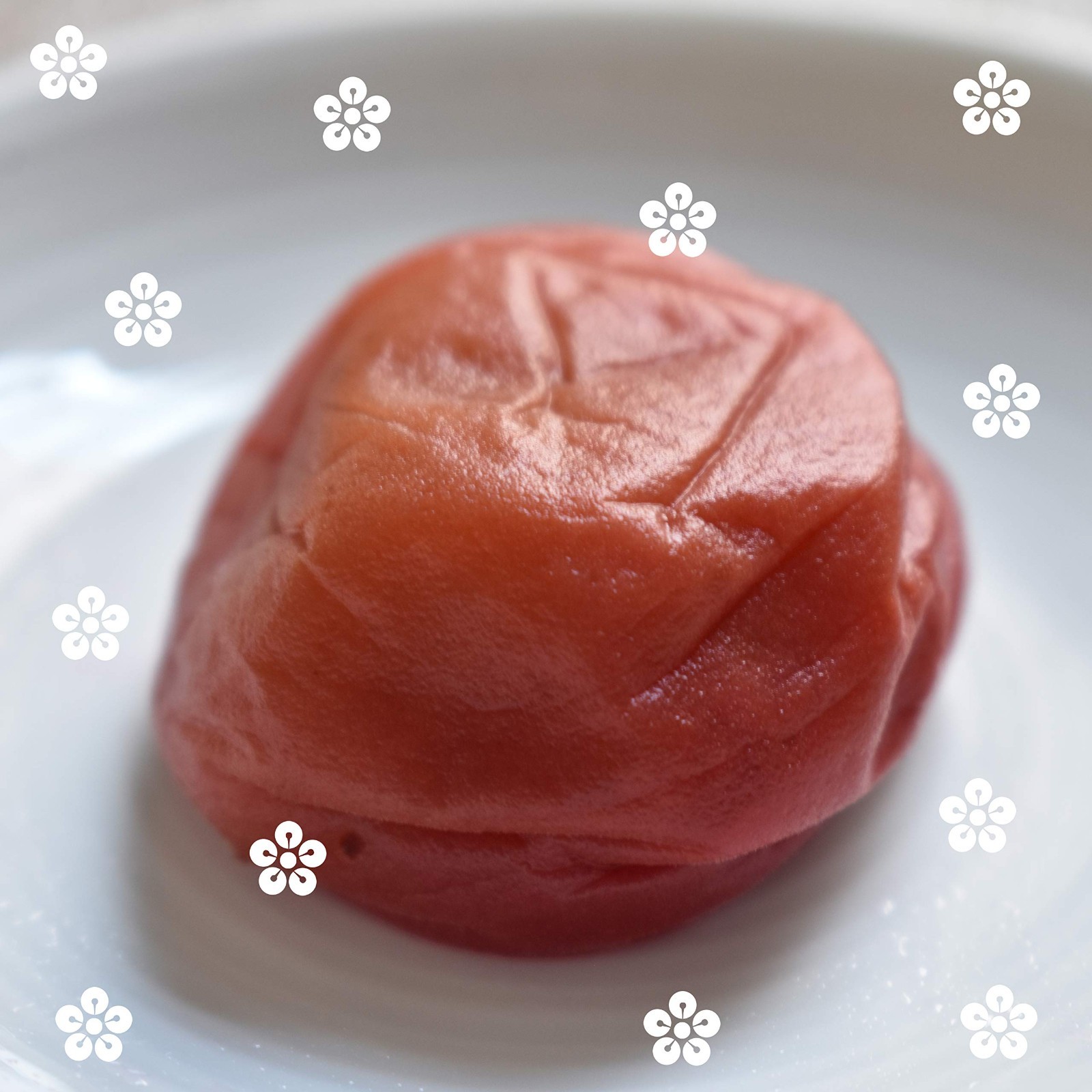 UMEBOSHI SHISO HERB BLEND – 100% Natural, Low Sodium, No Additives, 5.29oz