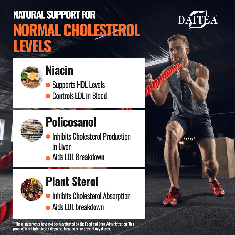 Cholesterol Support Cholesterol health support, antioxidant gel 120 Caps