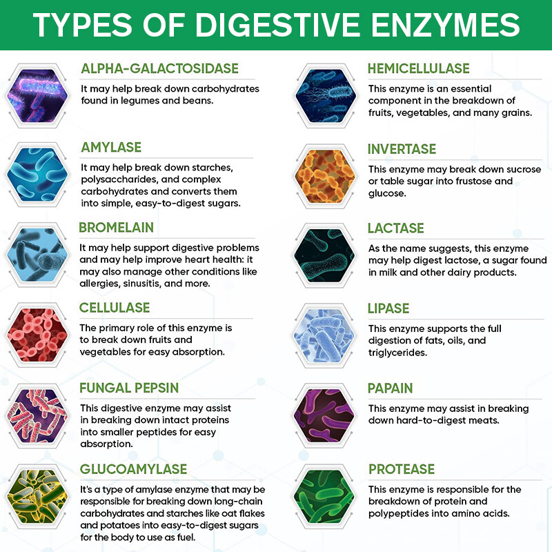 Digestive Enzymes Prebiotic & Probiotics Constipation Bloating Relief 120 Caps