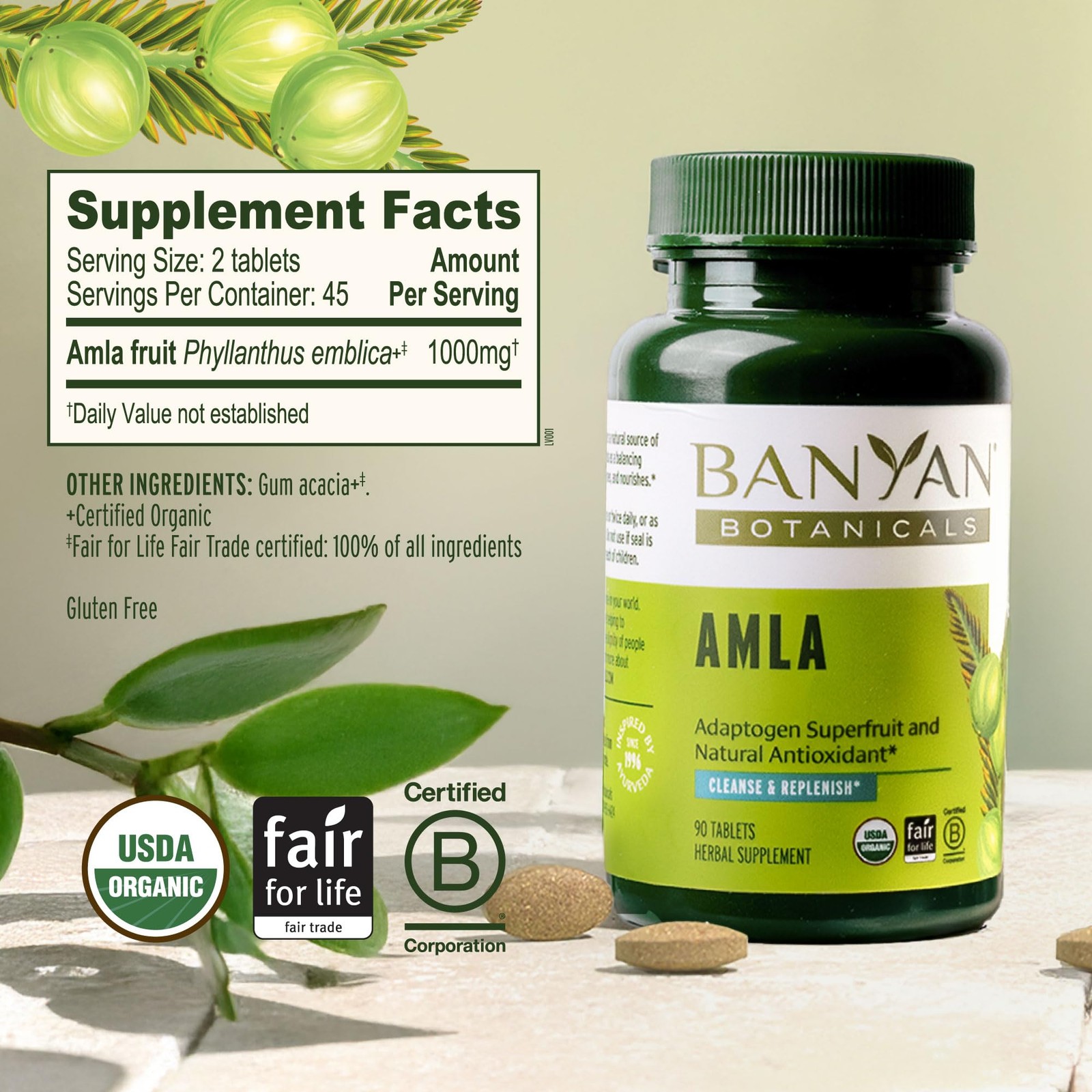 Banyan Botanicals Organic Amla Tablets – Natural Vitamin 90 Count (Pack of 1)