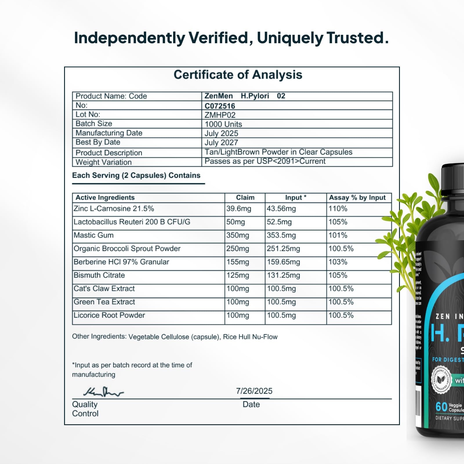 H. Pylori Support | Lactobacillus Reuteri Probiotic with Mastic Gum for Diges…