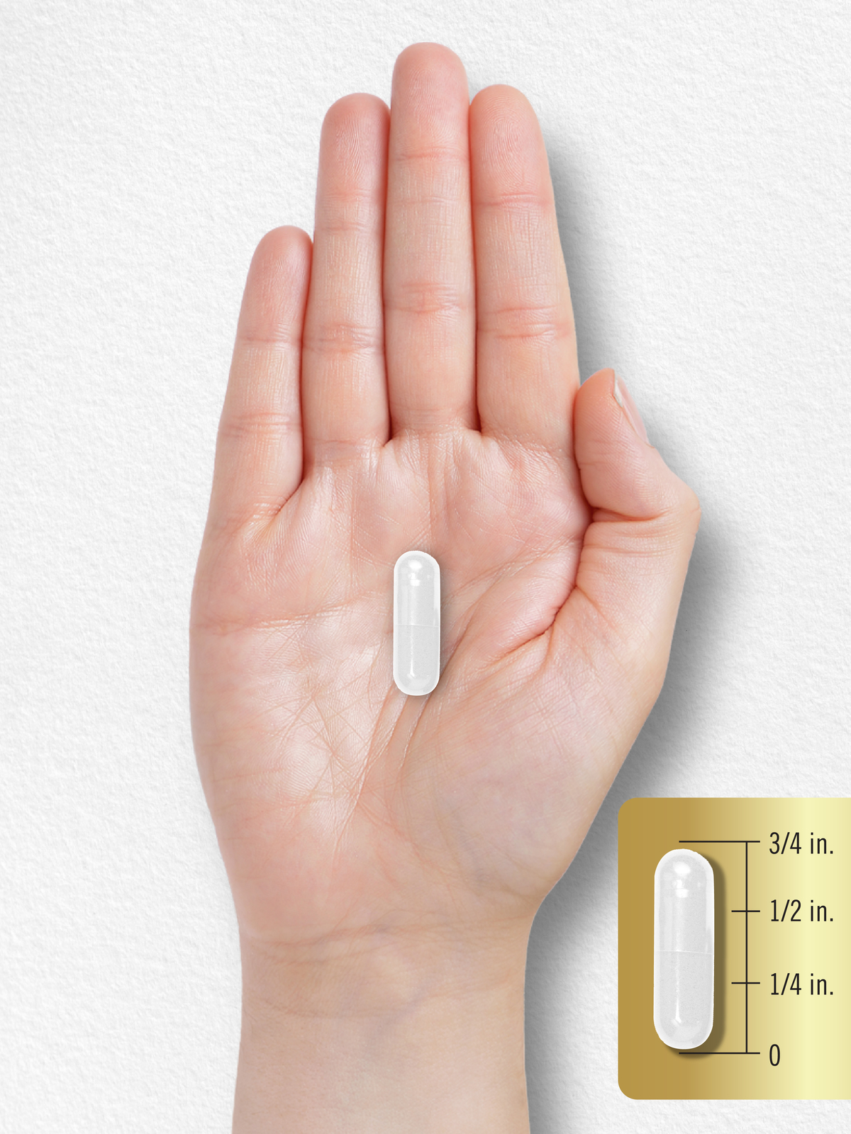 L Glutamine Capsules | 1500mg | 240 Count | Non-GMO, Gluten Free | by Carlyle