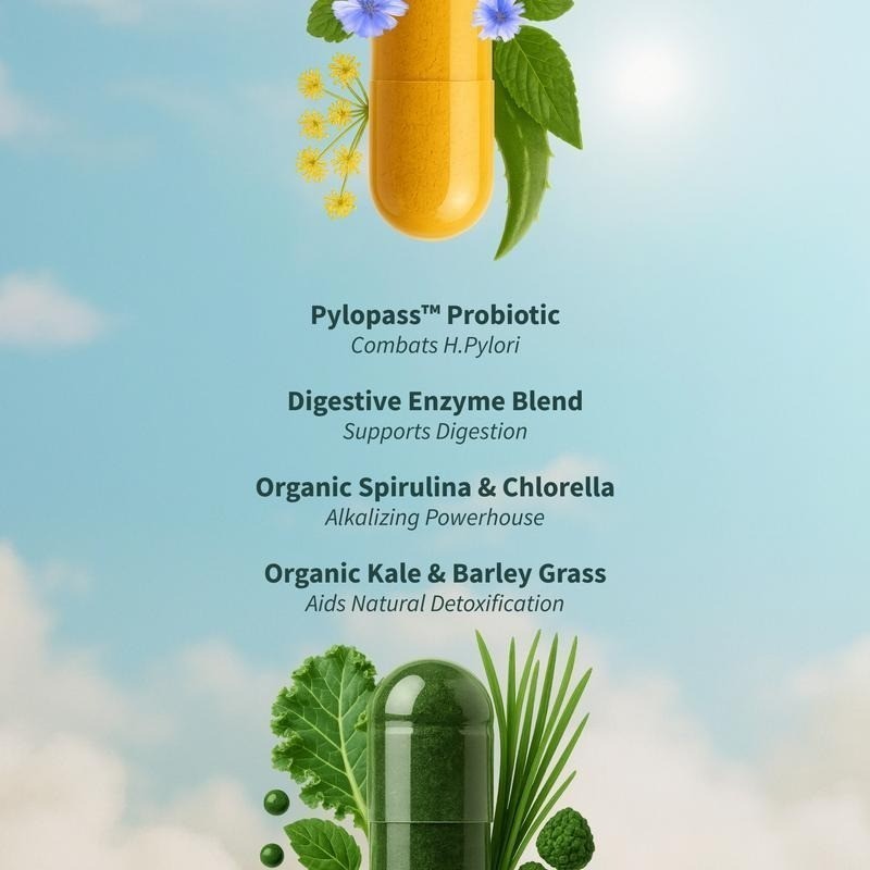 Gut Health Detox Duo Spirulina Chlorella Digestive Immune Support