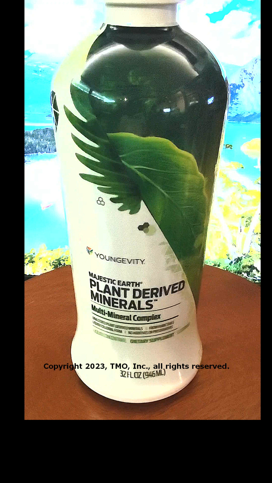 Youngevity Plan-1x Plant Derived Minerals 4 bottles Dr Wallach Free Shipping