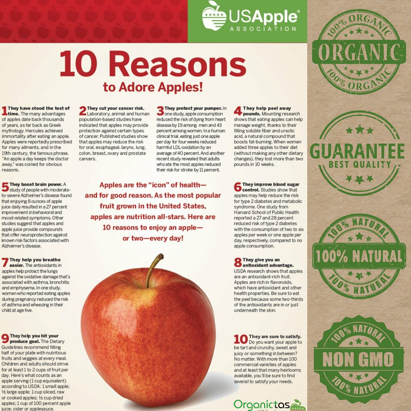 Pure Organic Apple Powder, 100% Natural Vitamin, Mineral & Antioxidant Source