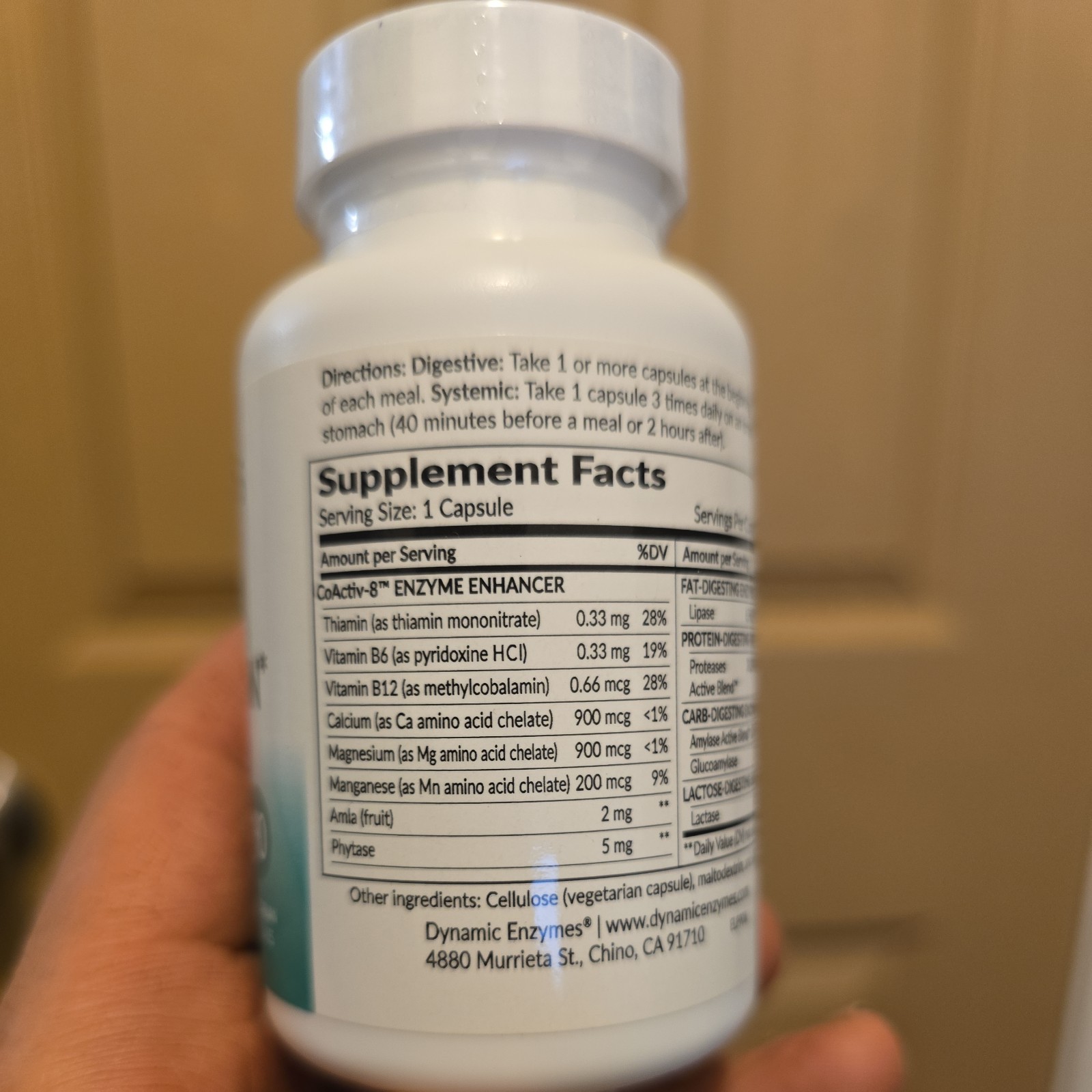 Lipase Plus Digestive Enzymes – Supports Fat Digestion & Nutrient Absorption …
