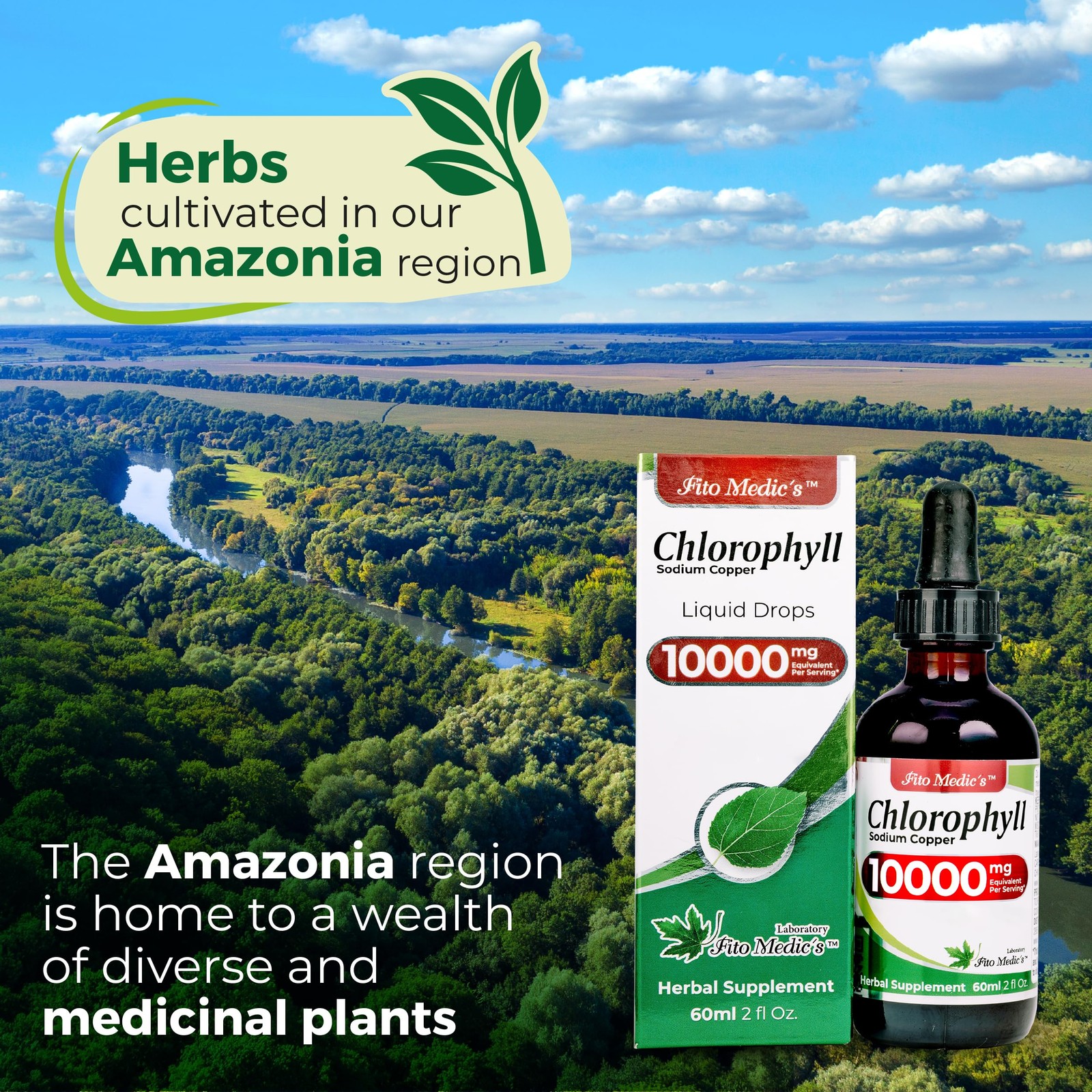 FITO MEDIC’S Lab | Liquid Chlorophyll | 2 Fl Oz (Pack of 1)