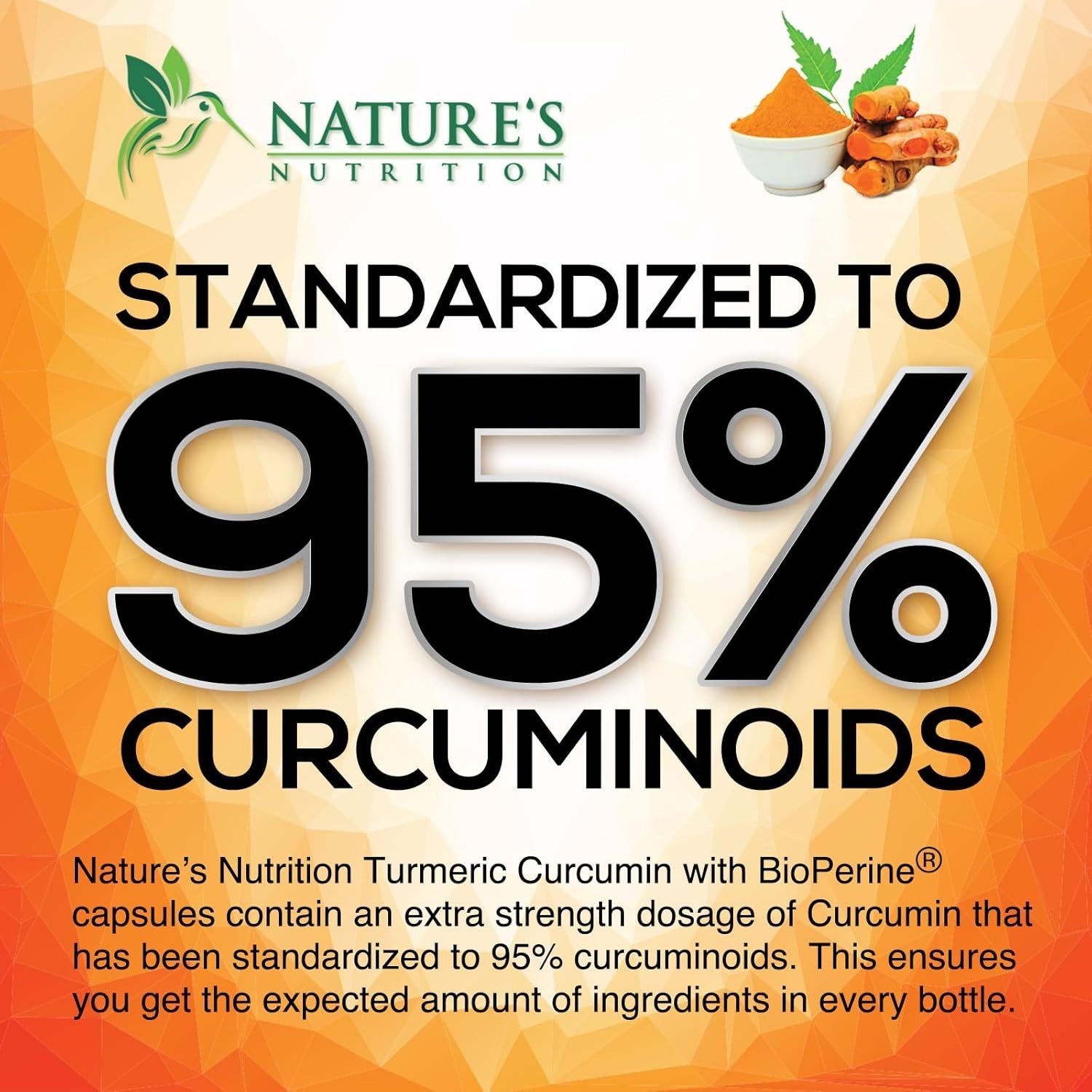 Turmeric Curcumin Highest Potency 95% 1950mg with BioPerine Black Pepper Extract