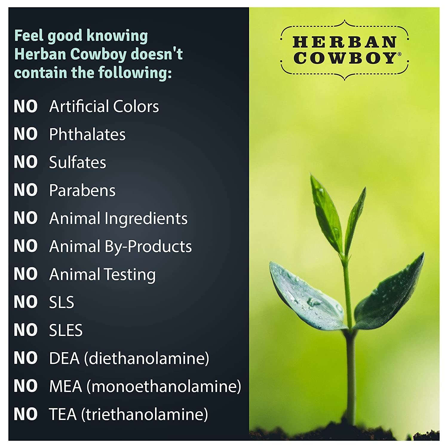 Herban Cowboy Forest Deodorant Maximum Protection 2.8 8.4 Ounce (Pack of 1)