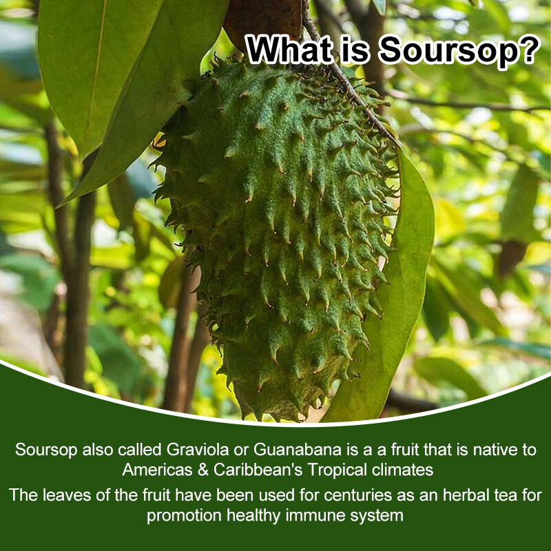 Graviola Capsules 1000mg 120 Pure Natural Soursop Capsules Leaves fruit Capsules