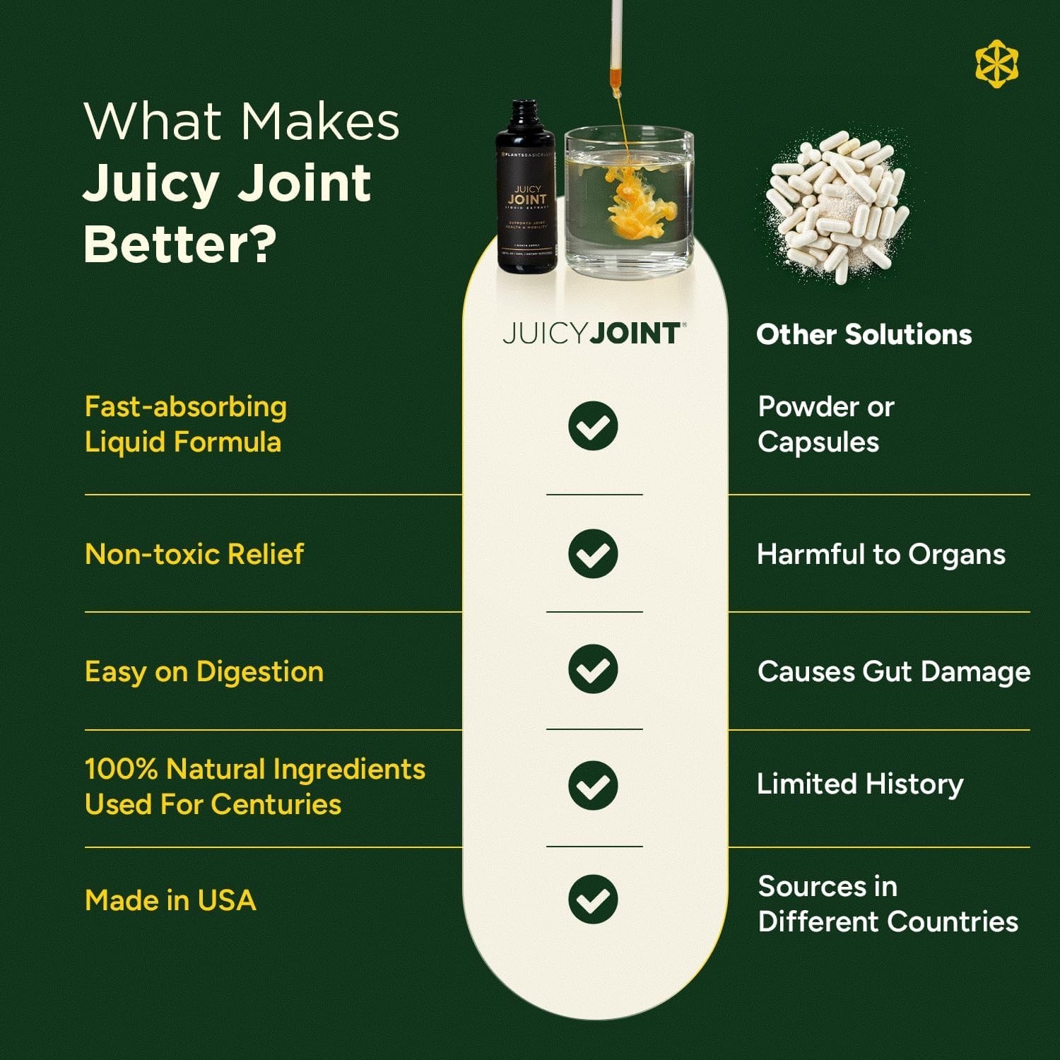 PLANTSBASICALLY Juicy Joint Extract Organic Joint Support Supplement Vegan 30Day