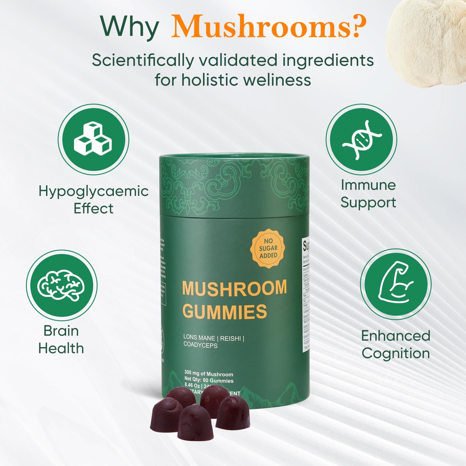 Xuore Bundle Of Shilajit Sea Gummies Lions Mane Reishi Cordyceps Ashwagandha 75