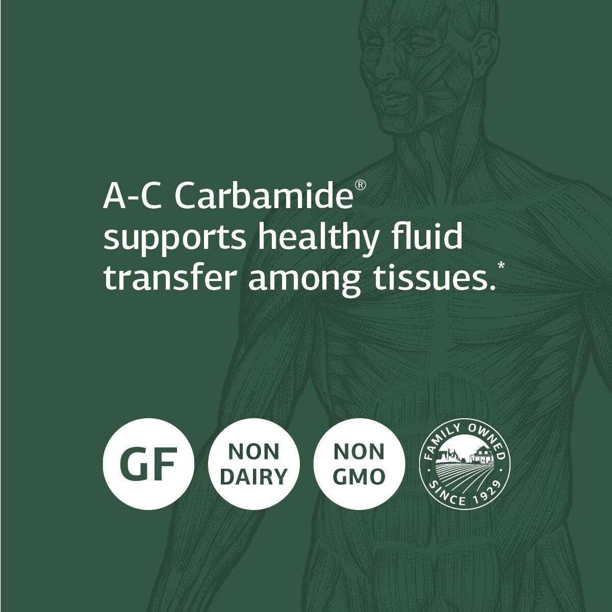Standard Process A-C Carbamide Kidney Support Supplement, 270 Capsules