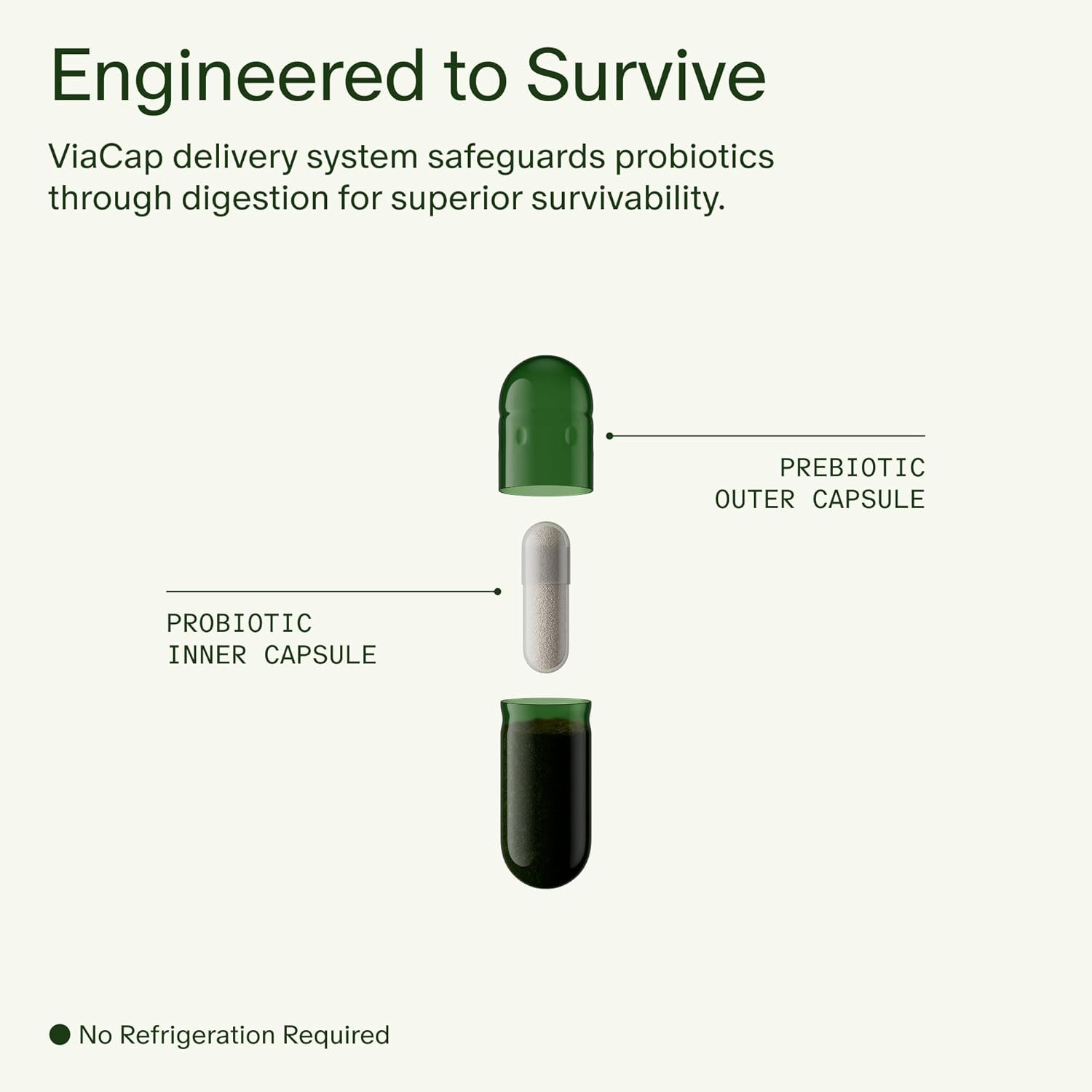 Seed DS-01 Daily Synbiotic – Prebiotic and Probiotic for Women & Men – Digestive
