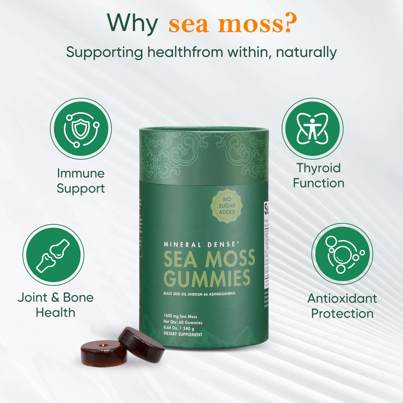 Xuore Bundle Of Shilajit Sea Gummies Lions Mane Reishi Cordyceps Ashwagandha 75