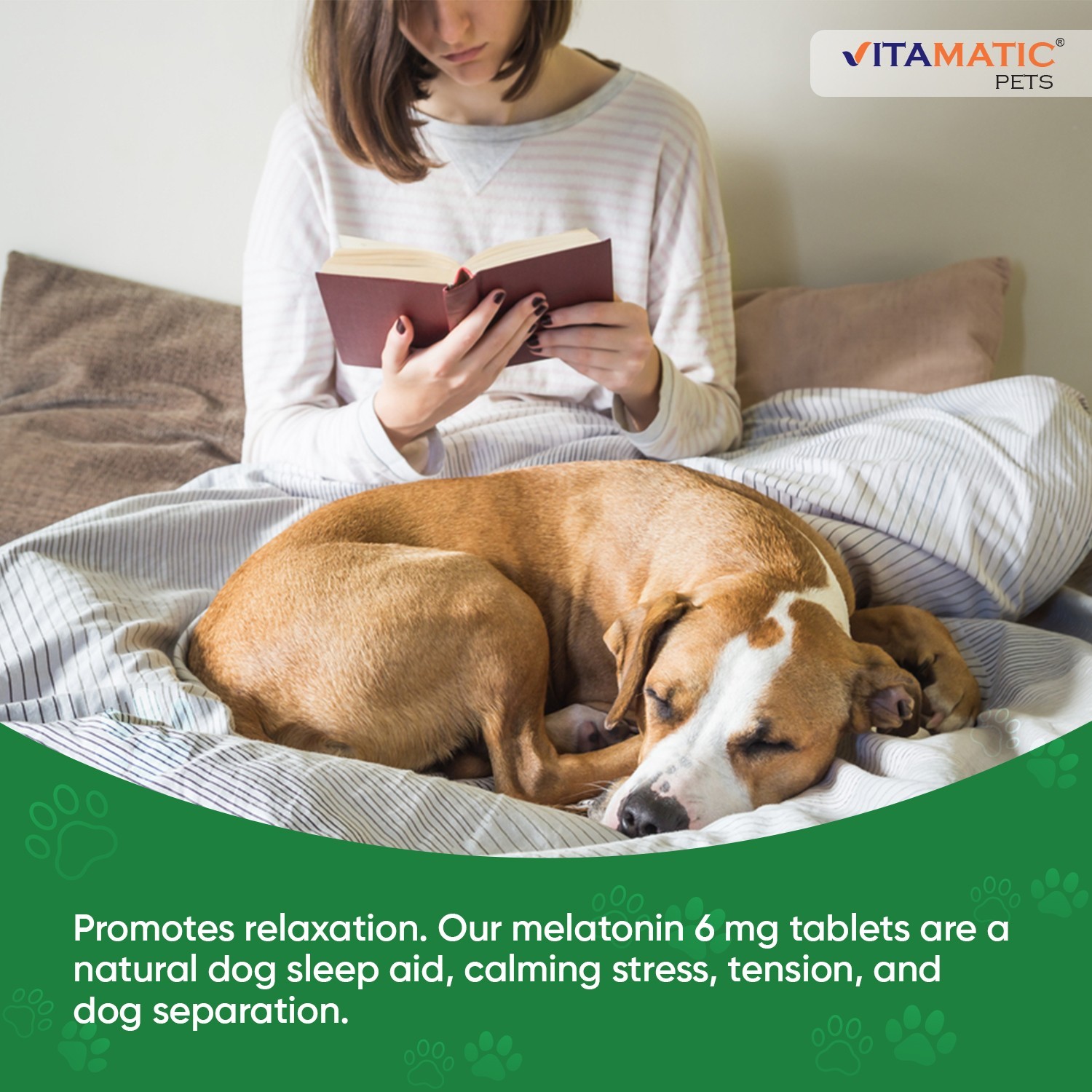 Vitamatic Melatonin for Dogs 6 mg 120 Beef Flavored Chewable Tablets