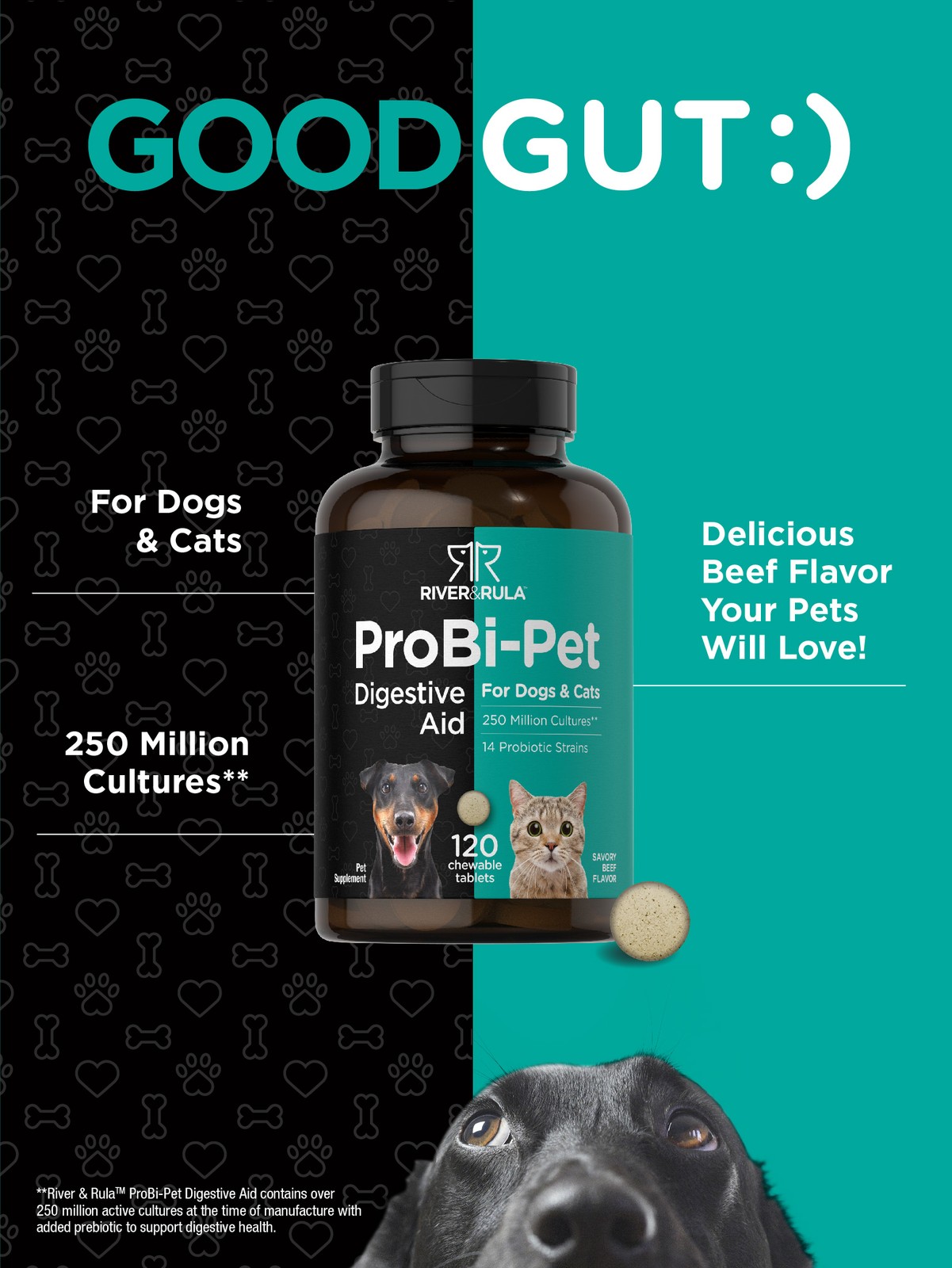 Probiotics for Dogs & Cats | 120 Chewables | Digestive Aid | by River & Rula