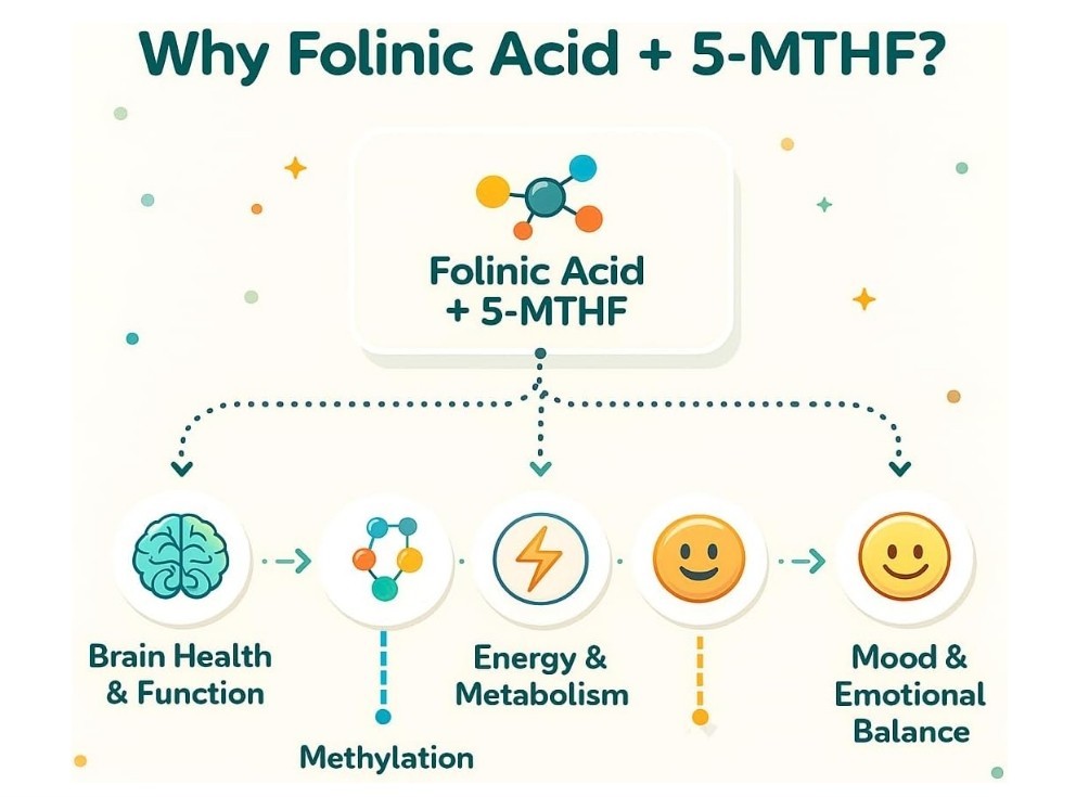 3 PACK, Folinic Acid Drops for Kids & Adults, Mixed Berry Flavor, 1 fl oz