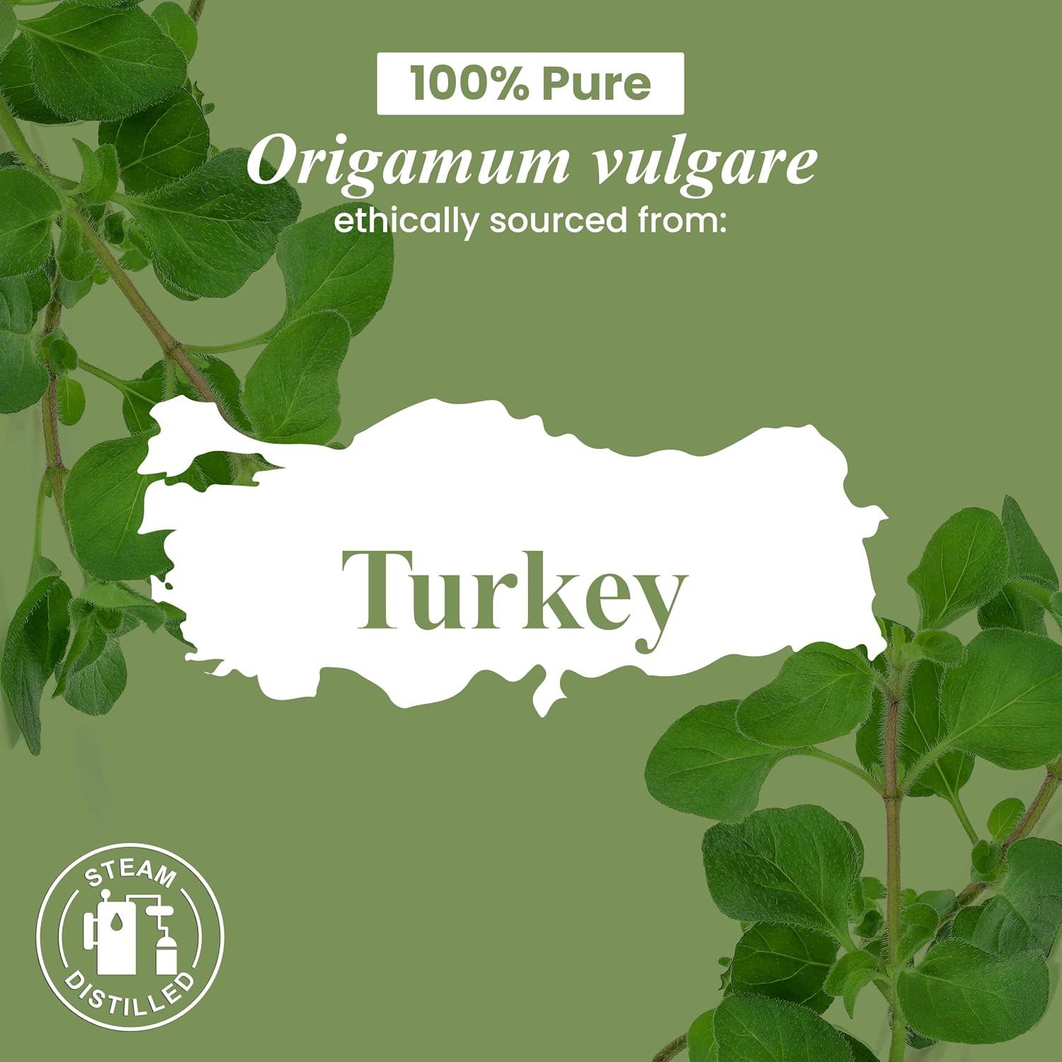 Oregano Oil – 1 Fl Oz – 100% Pure and Natural – Premium Grade Essential Oil for