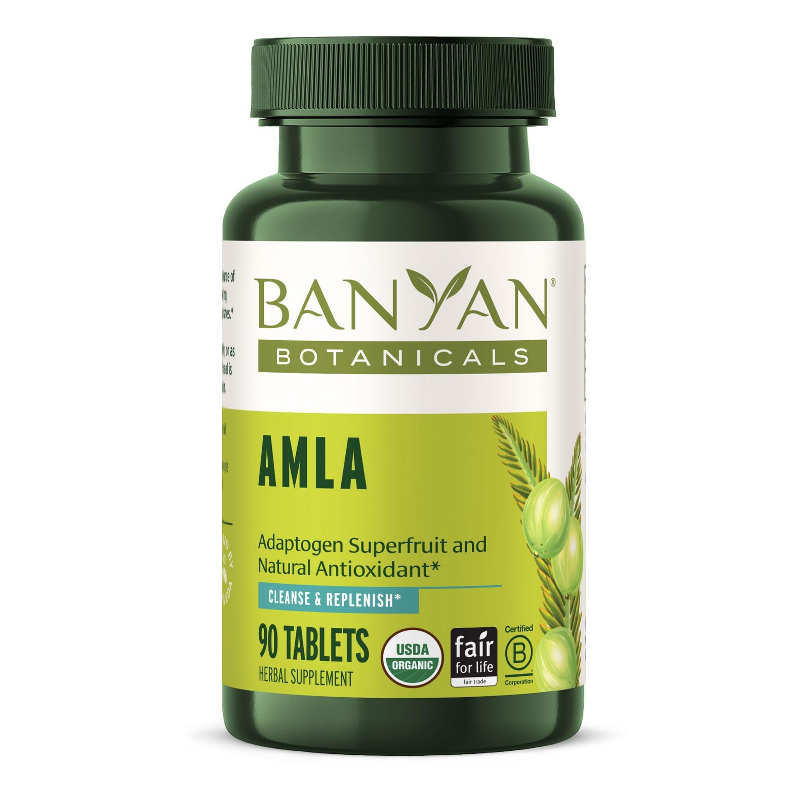 Banyan Botanicals Organic Amla Tablets – Natural Vitamin 90 Count (Pack of 1)