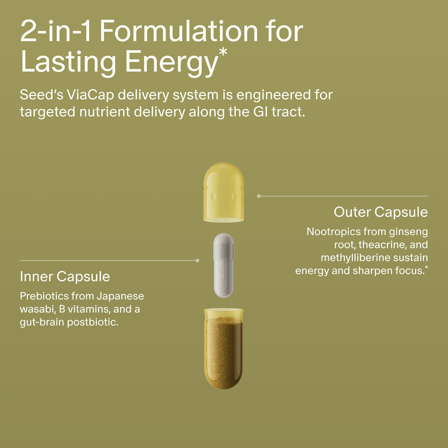 Seed AM-02 Energy + Focus – Daily Nootropic Supplement for Women & Men – Fast-Ac
