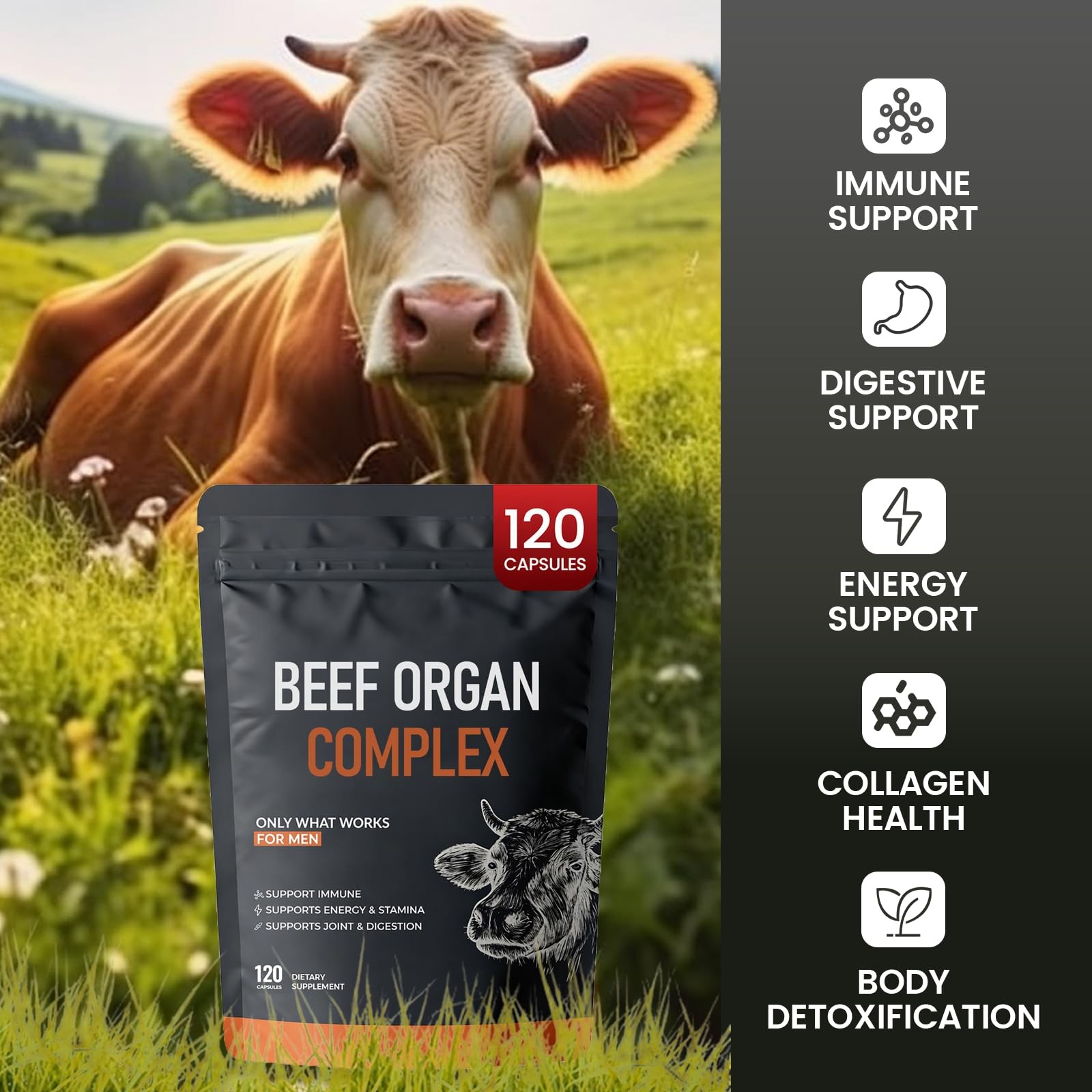 Forgebody Beef Organ Complex Supplement, 120 Capsules Grass Fed Beef Liver Ca…
