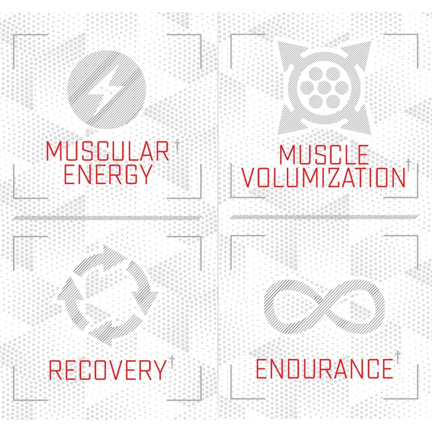 Purus Labs L Citrulline Malate 7.1 Ounce Nutritional Supplement for Energy Pump