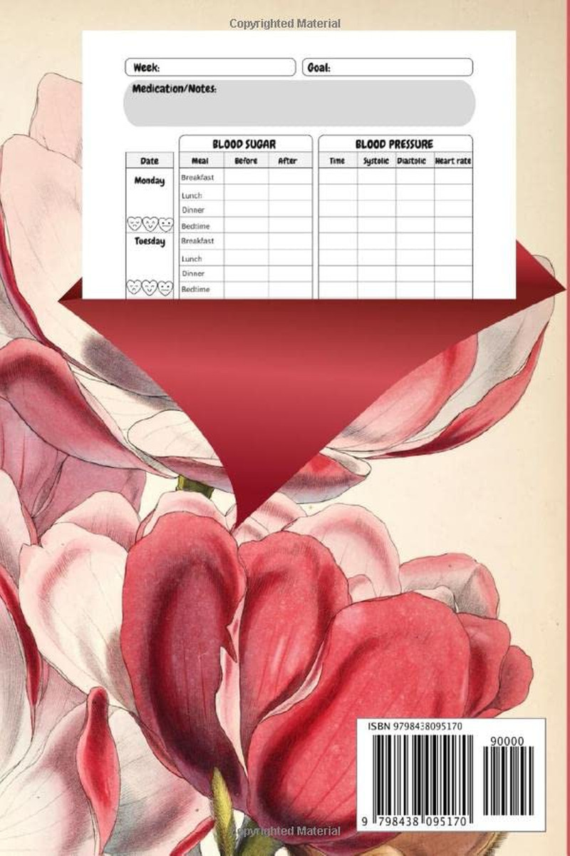 Blood Sugar & Pressure Log Book: 2 Years Glucose and Blood Pressure Record Book