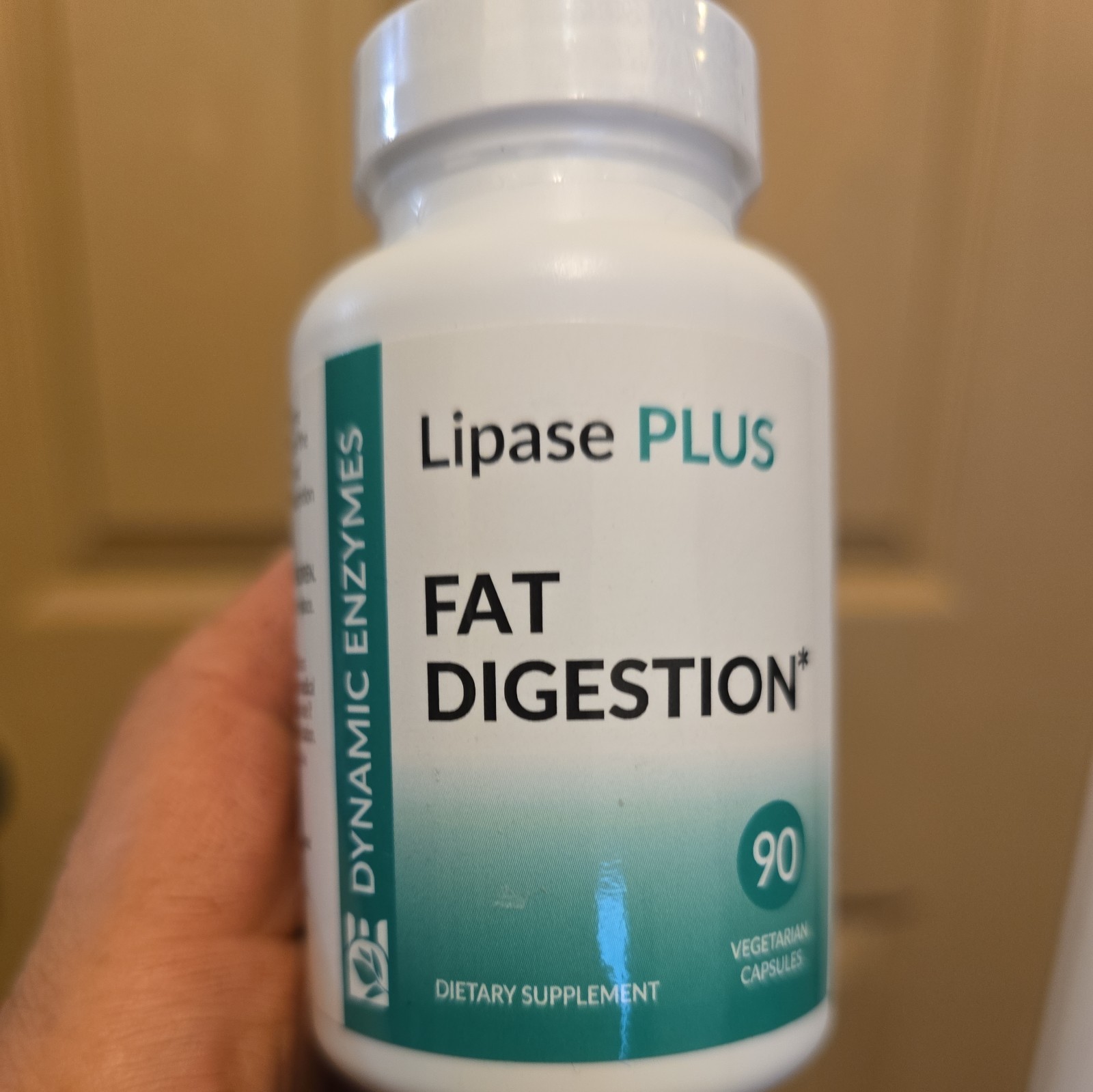 Lipase Plus Digestive Enzymes – Supports Fat Digestion & Nutrient Absorption …