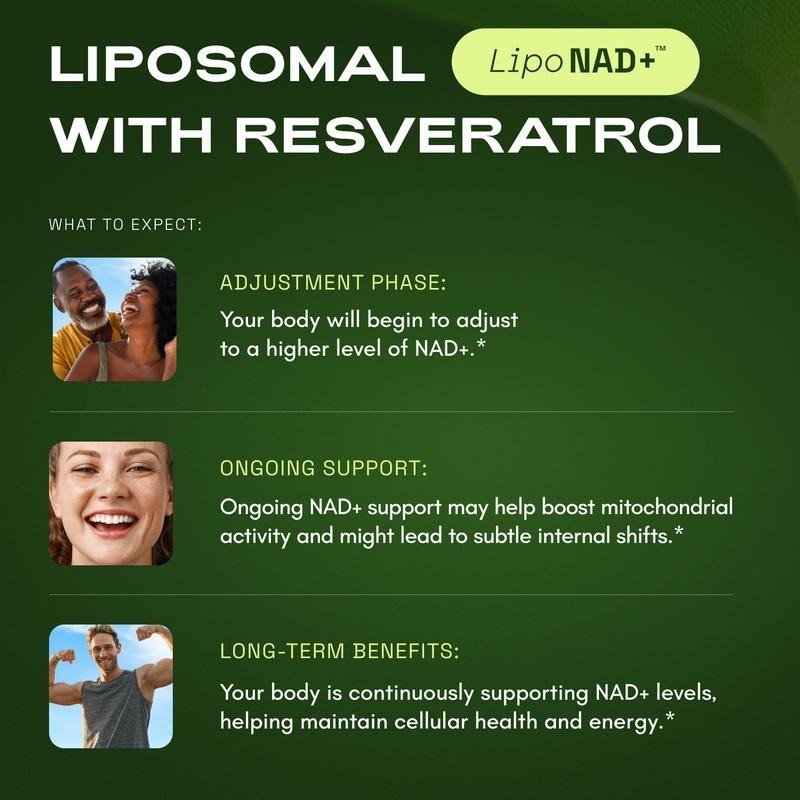 NAD+ Supplement Advanced 500mg Resveratrol Anti Aging Cellular Health Energy 60c