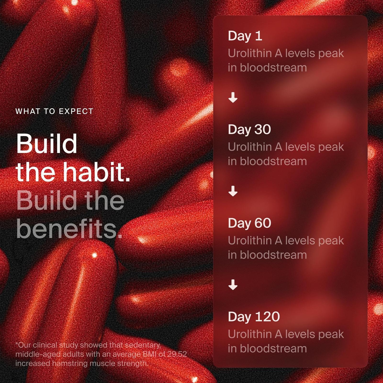 Time-Line Longevity Supplement Urolithin A, 60 Softgels, Muscle Strength Support