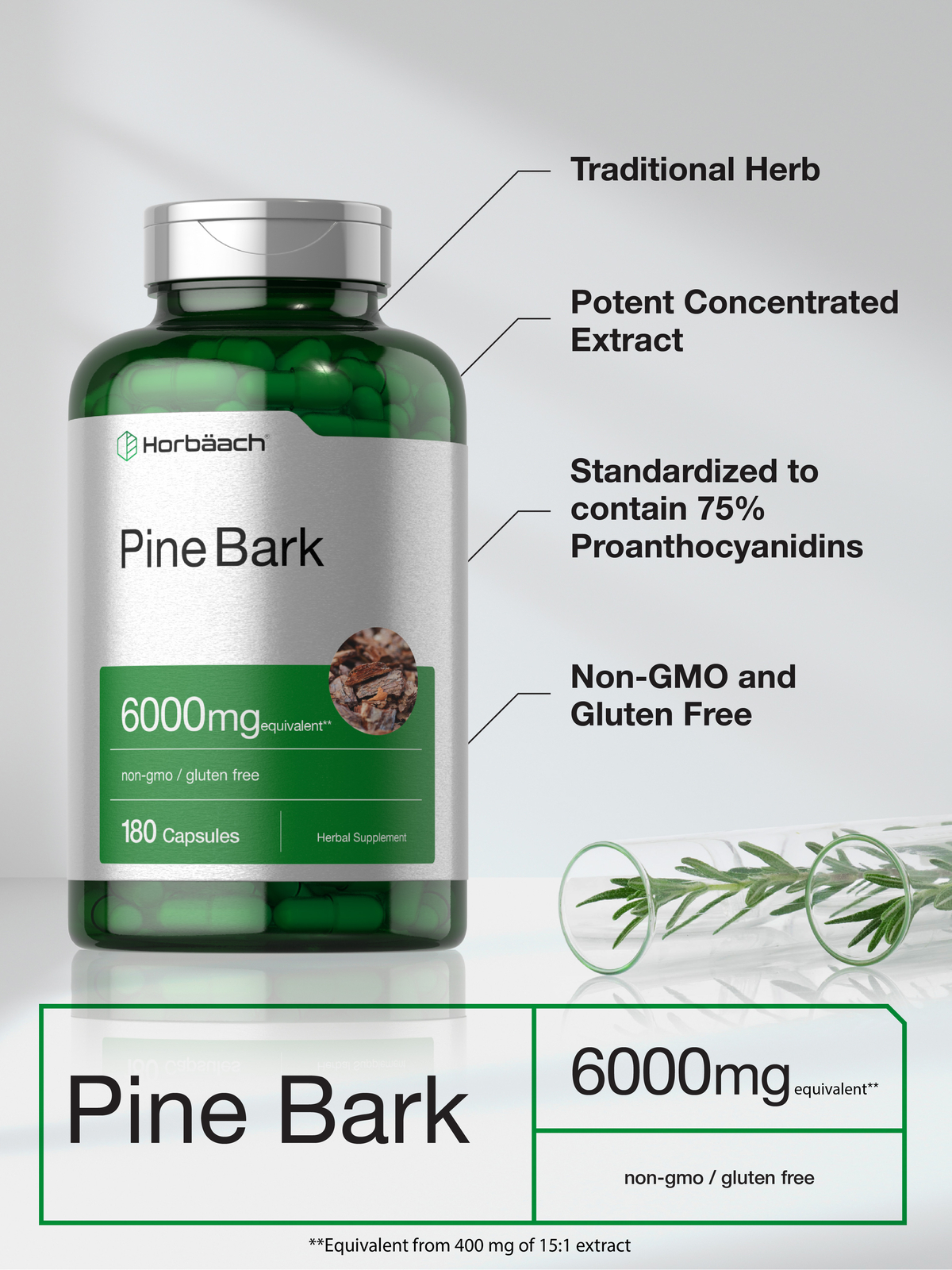 Horbaach Pine Bark Extract 6000 mg | 180 Capsules | Non-GMO, Gluten Free