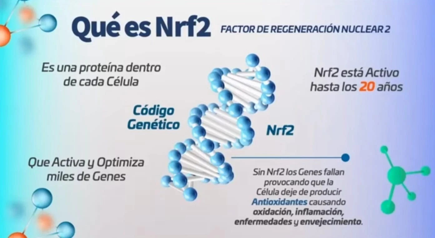 NEW ACTIVZ EPIGENETIC TRIFECTA 3 bottles set 1 LINQ + 1 GNMX + 1 OPTIMEND