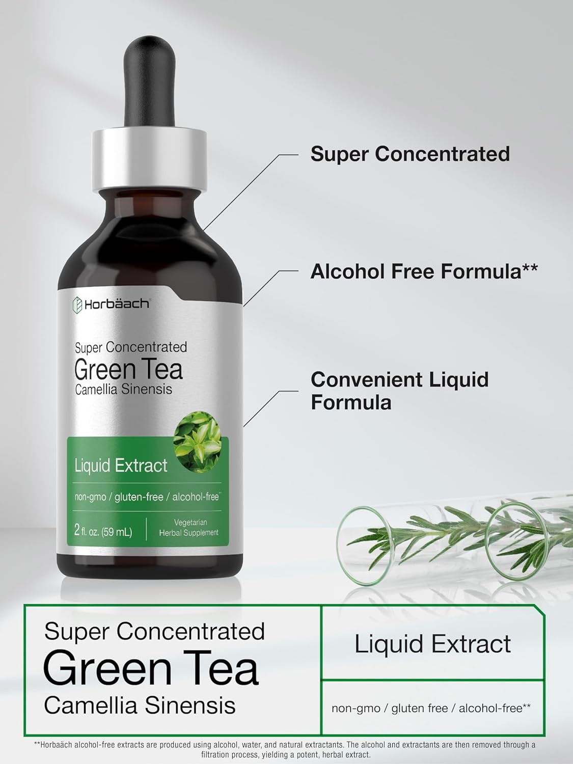 Horbäach Green Tea Extract Liquid Drops | 2 Fl Oz | Herbal Tincture | Alcohol Fr