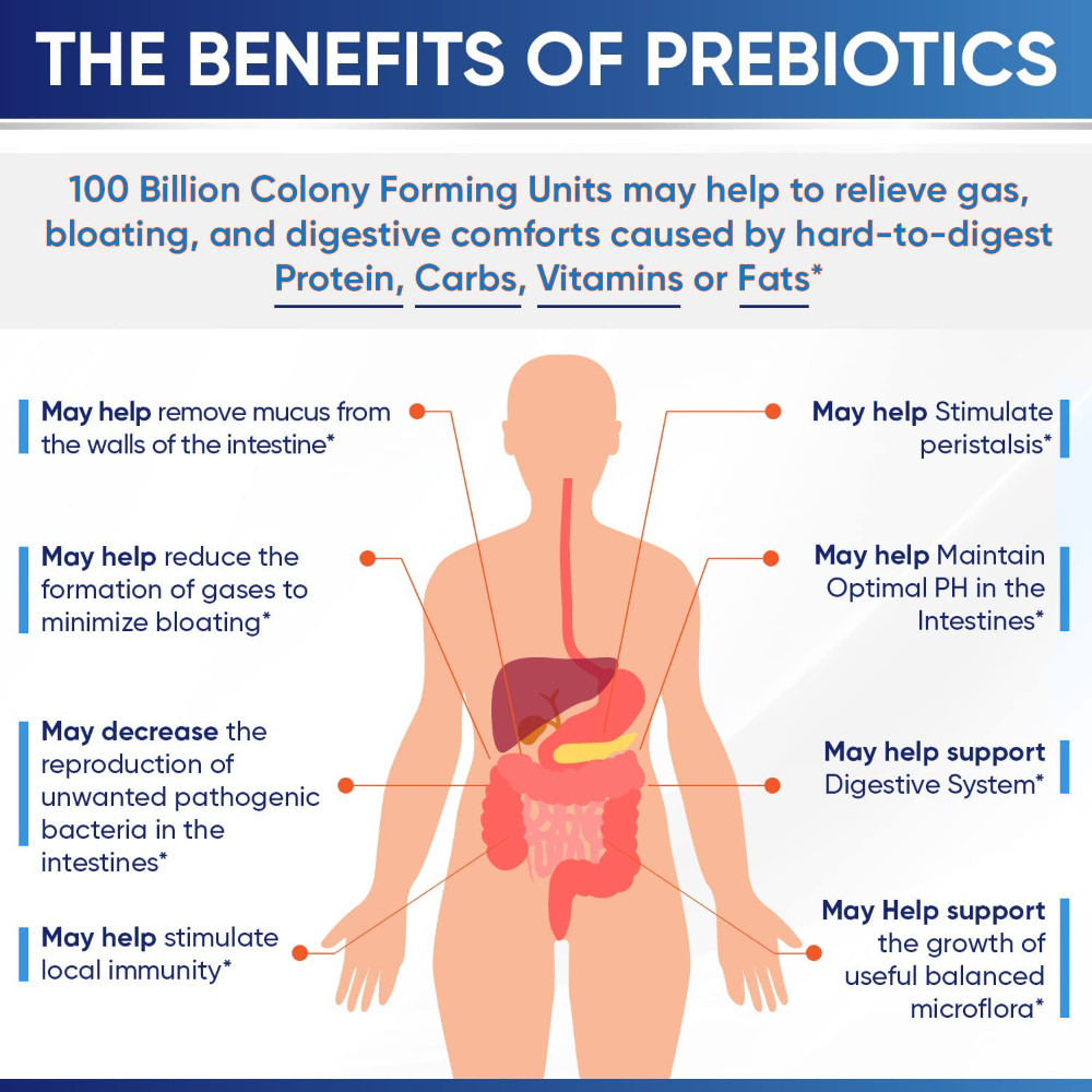 Probiotic Lactobacillus Reuteri 100 Billion CFU/gm – 1250mg – 180 Capsules