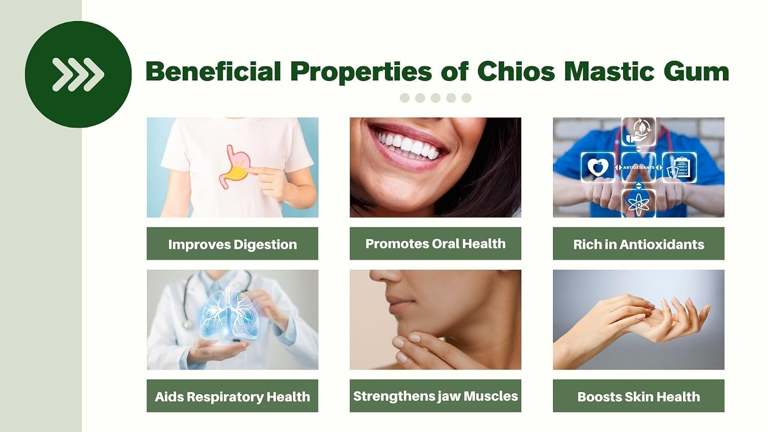 Chios Mastiha Tears Gum Greek 100% Natural Mastic Packs from Mastic Growers