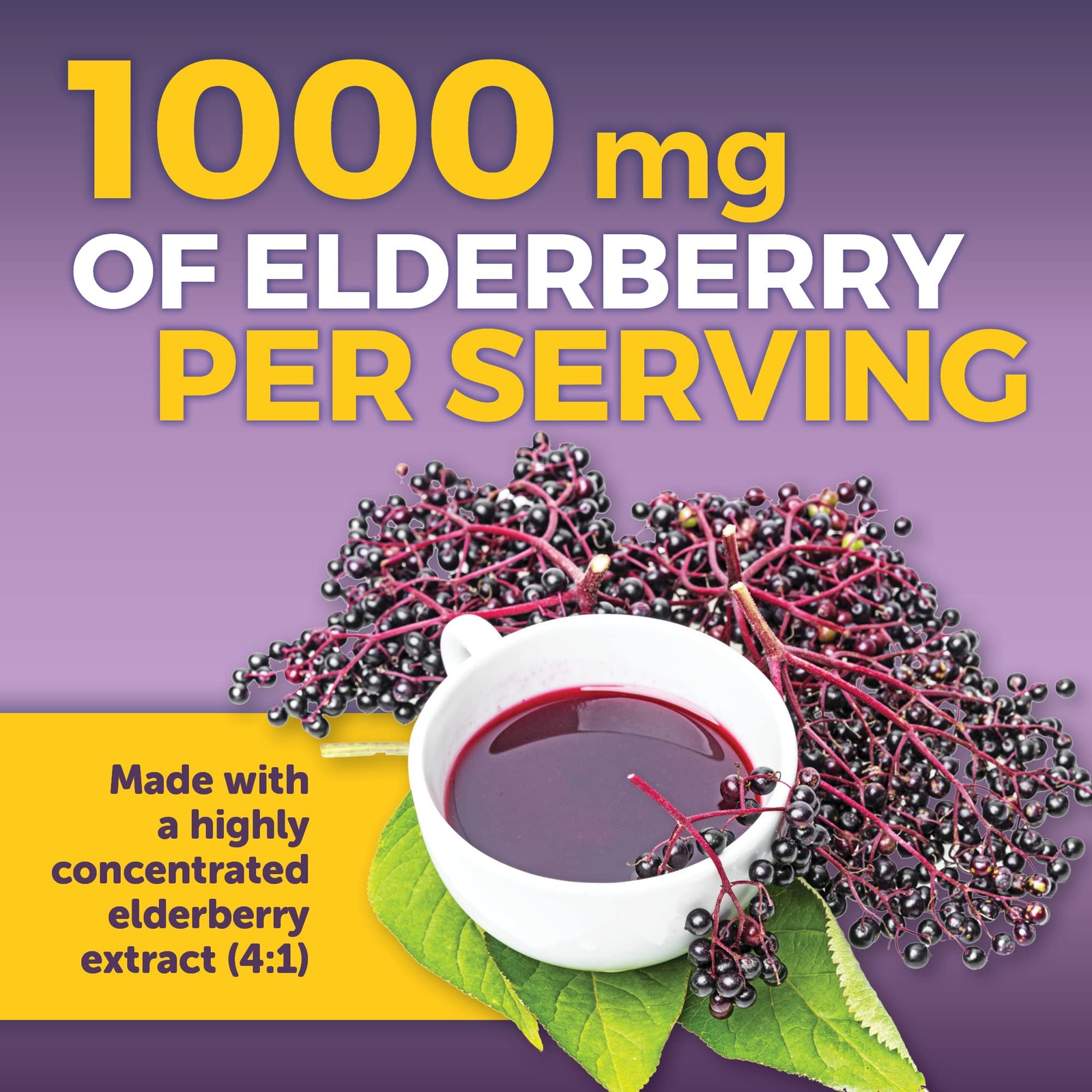 Viva Naturals Elderberry with 120 Count (Pack of 1), 5in1 120ct