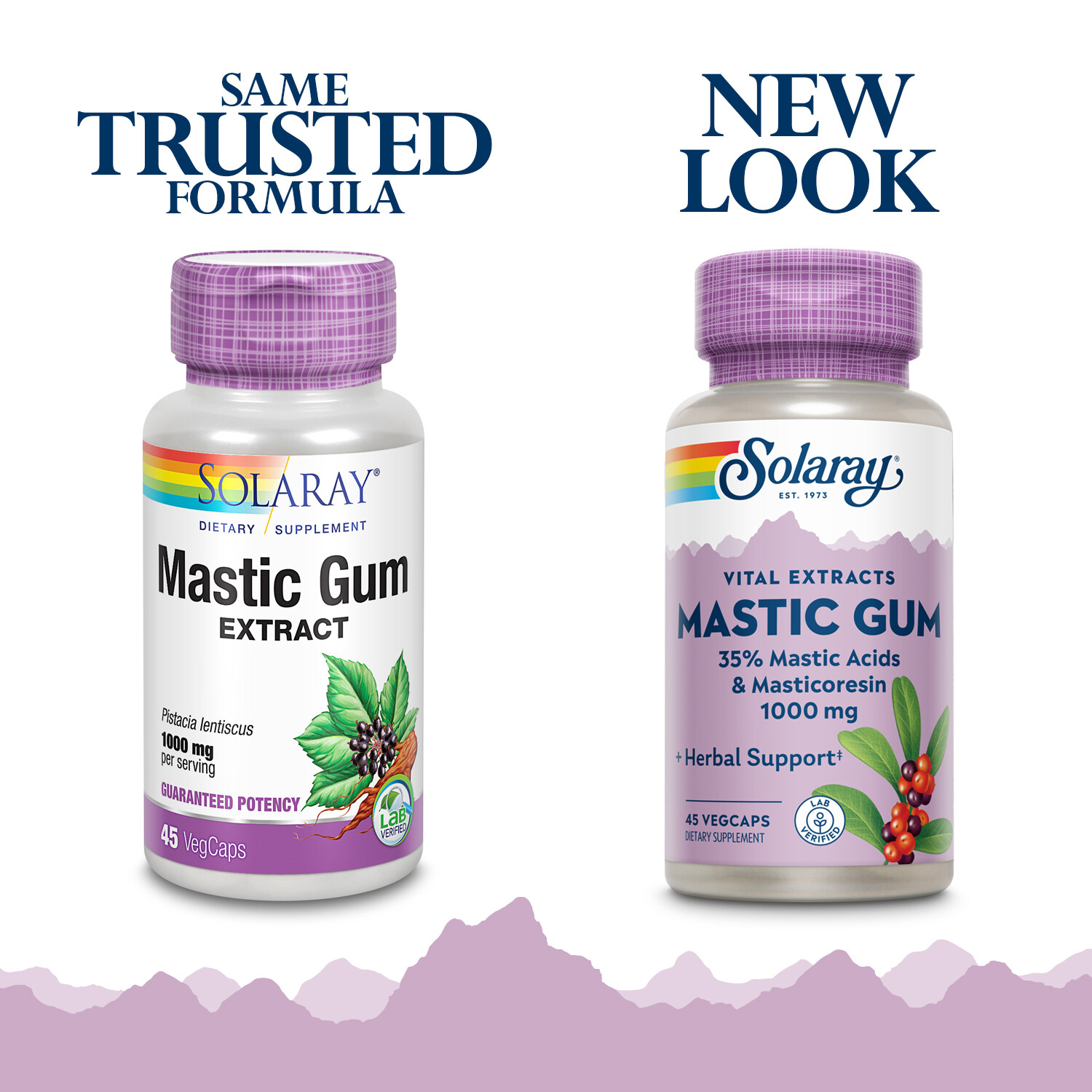 Solaray Mastic Gum Extract 500 mg | 45 Count