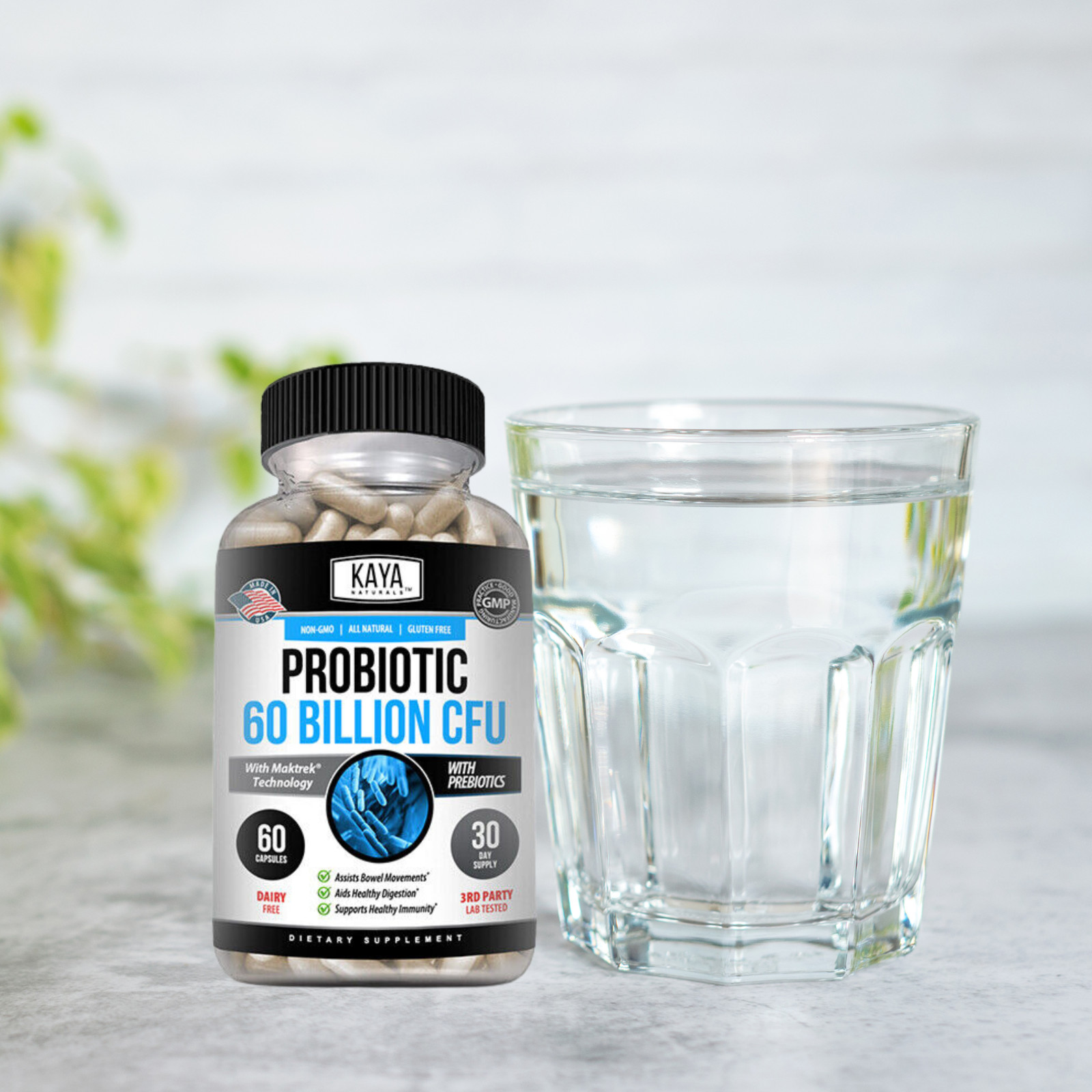 (2 Pack) Probiotic 60 Billion with Prebiotics Immune Function Healthy Digestion