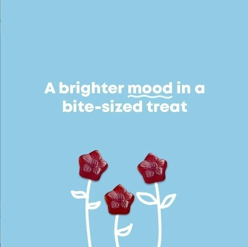 NEW JoySpring Mood Munchies – Saffron Gummies for Mood & Focus