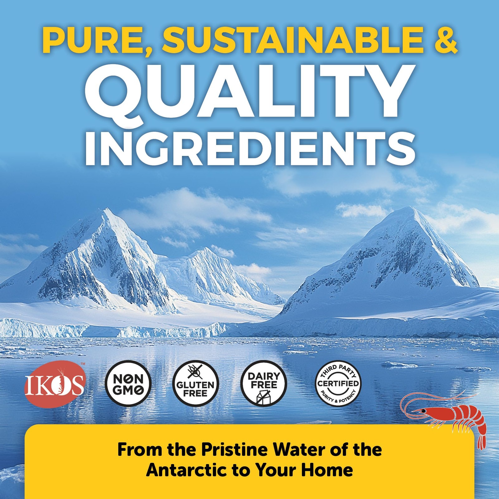 Viva Naturals Antarctic Krill Oil Omega 3 60 Count (Pack of 1), Brown