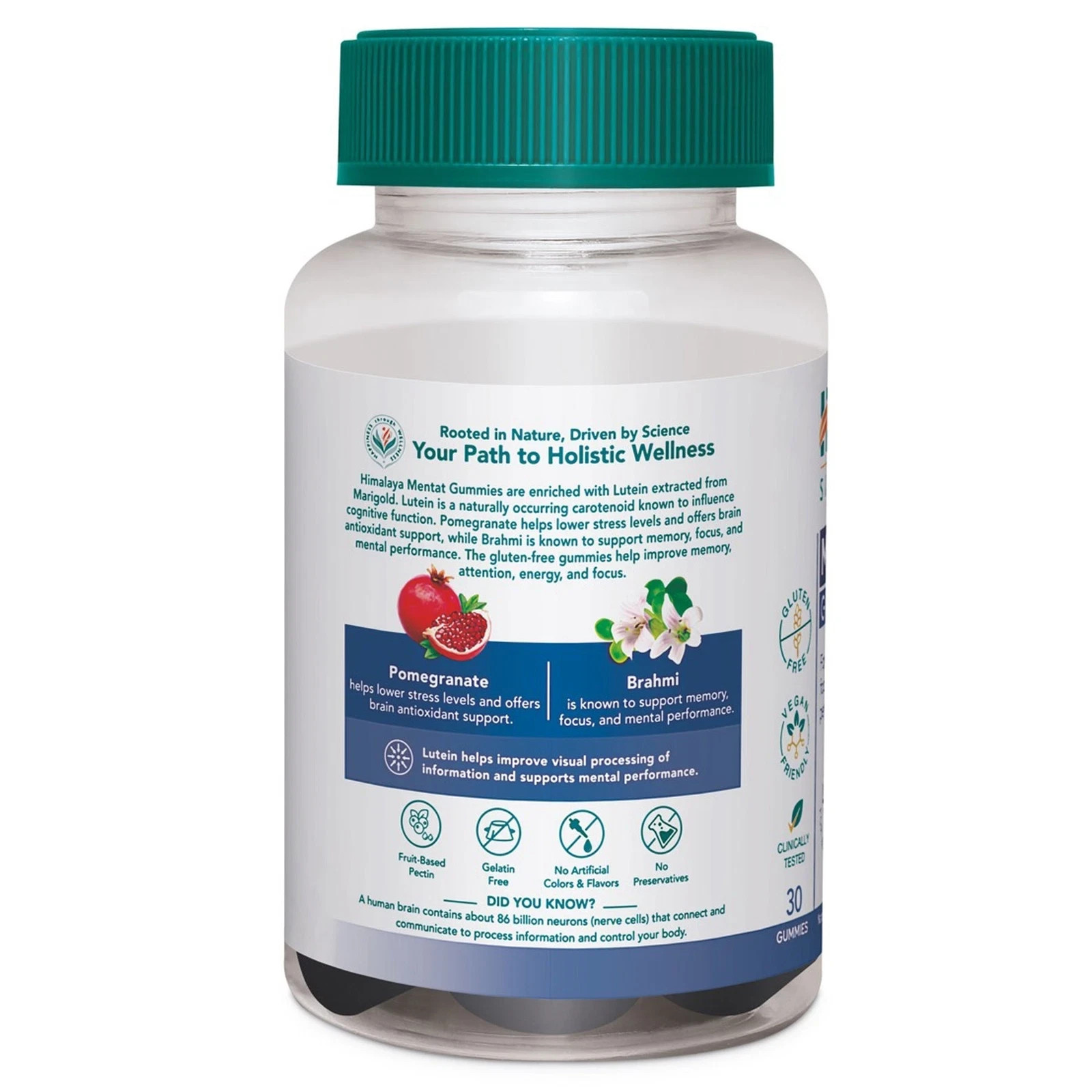 3 X Himalaya Mentat 30 Gummies support memory, focus
