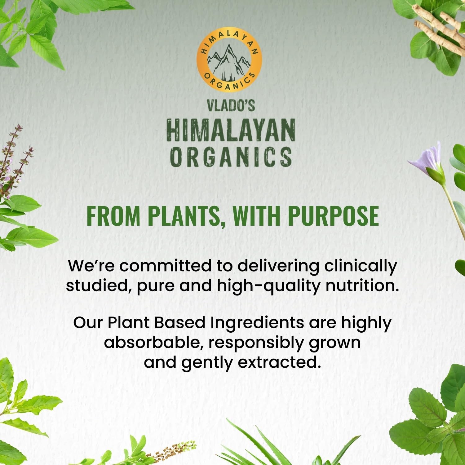HIMALAY.AN Organics Alfalfa Calcium D3 K2 Zinc 360Tabs