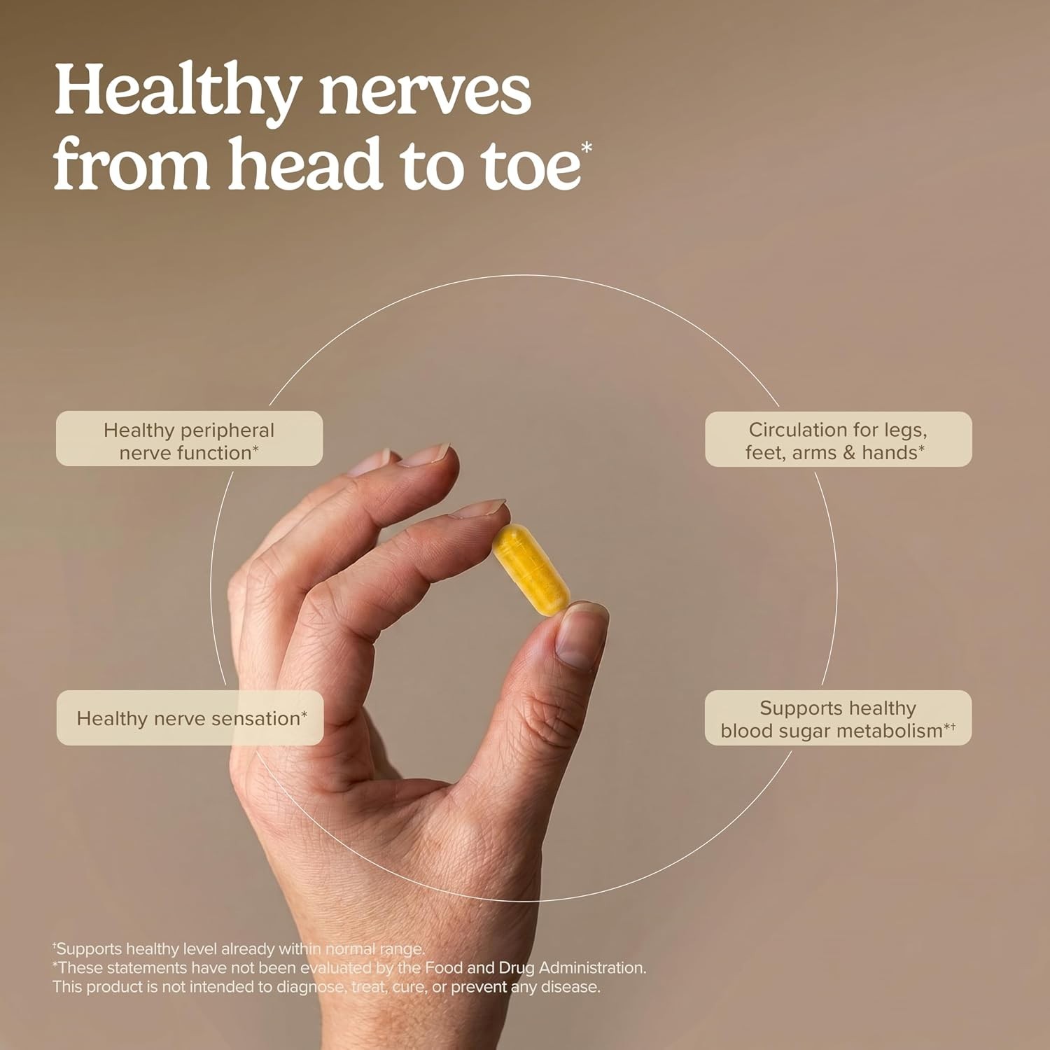 Allergen-Friendly Nerve Support – 120 Count Boswellia Capsules for Brain Health